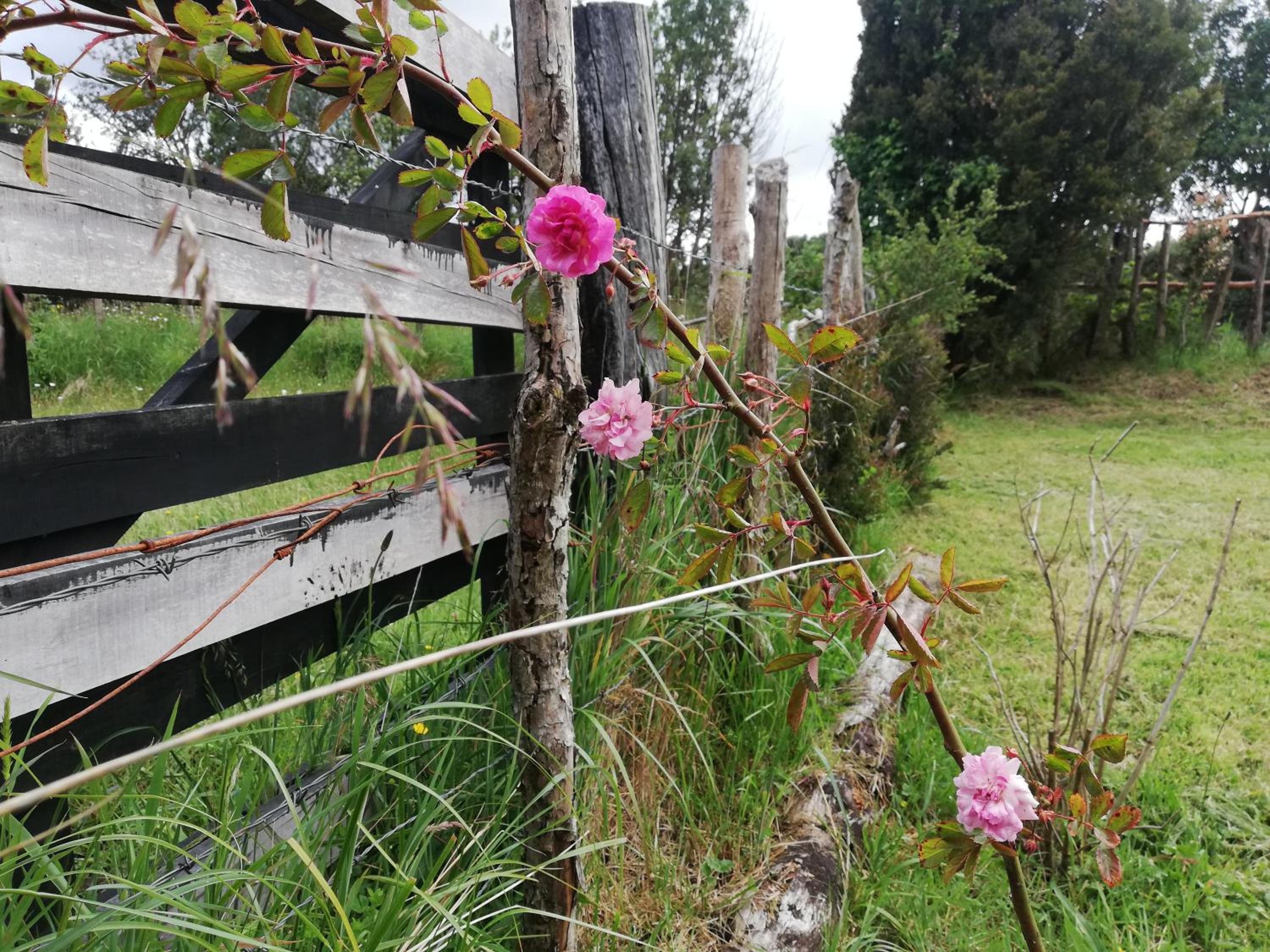 Casa Rural Huillinco