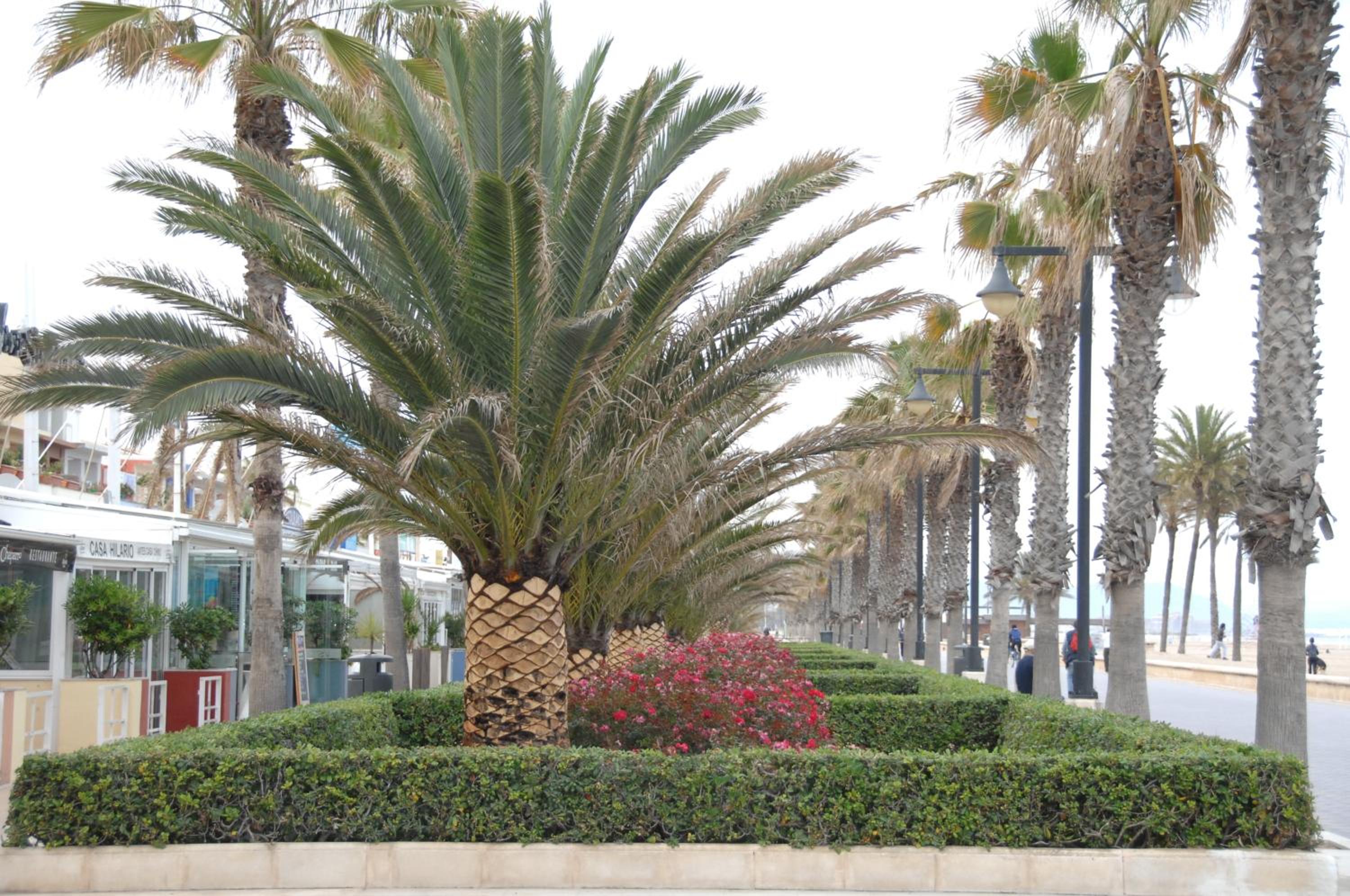 Front Sun Beach Apartment