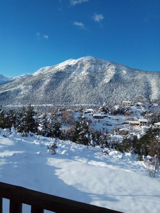 Guesthouse Kastania Korakis