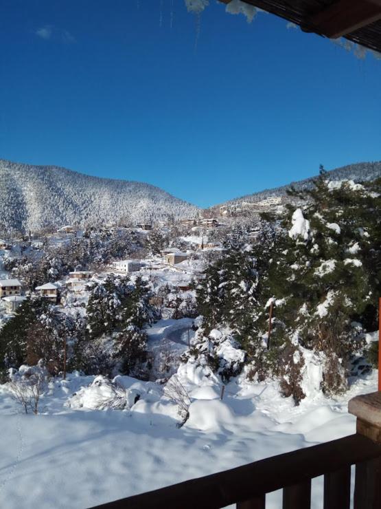 Guesthouse Kastania Korakis
