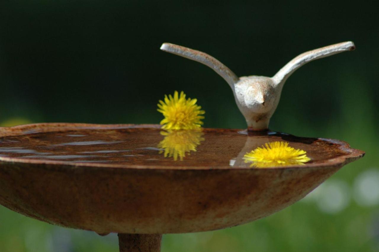 Ferienhaus Nest