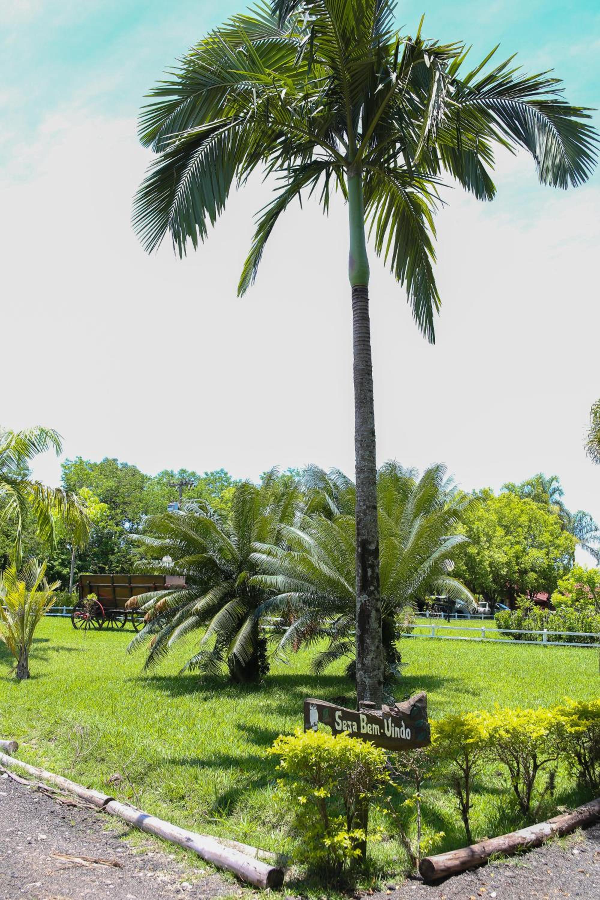 Casa de Campo Magnifica
