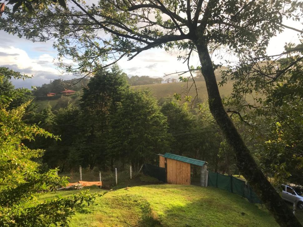 Cabaña treehouse Mountain View