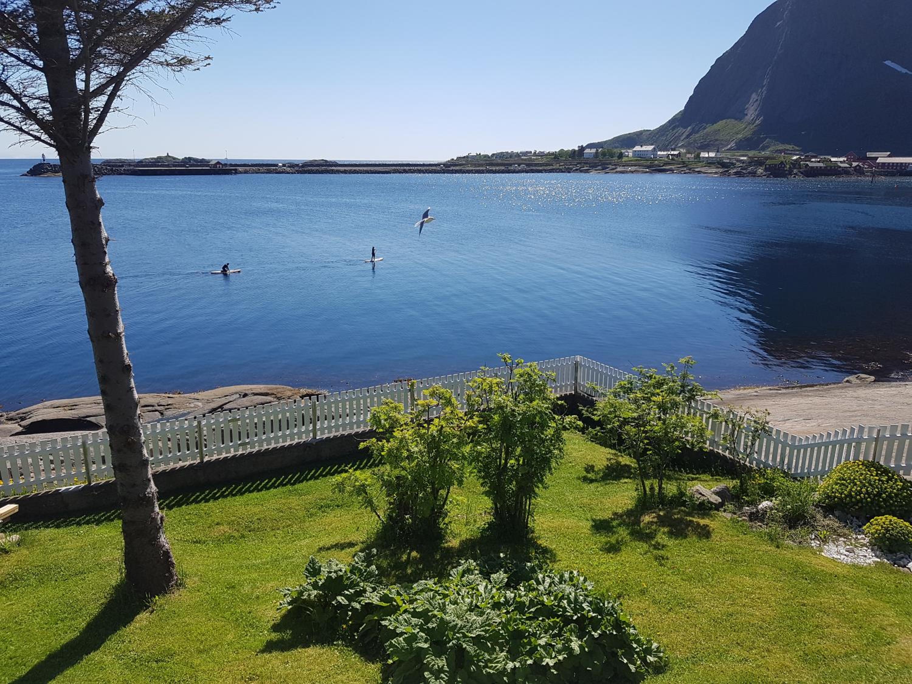 Knut Ellingsen view 4