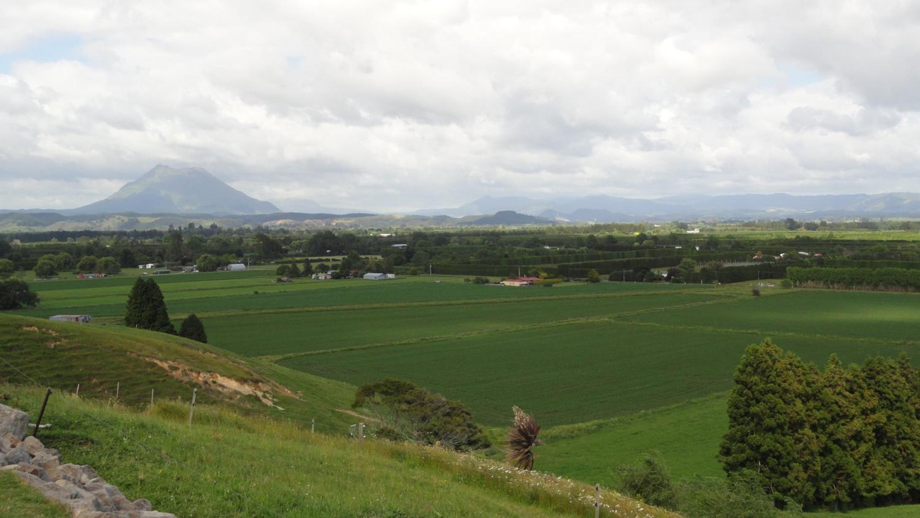 Secret Lake Farmstay view 4