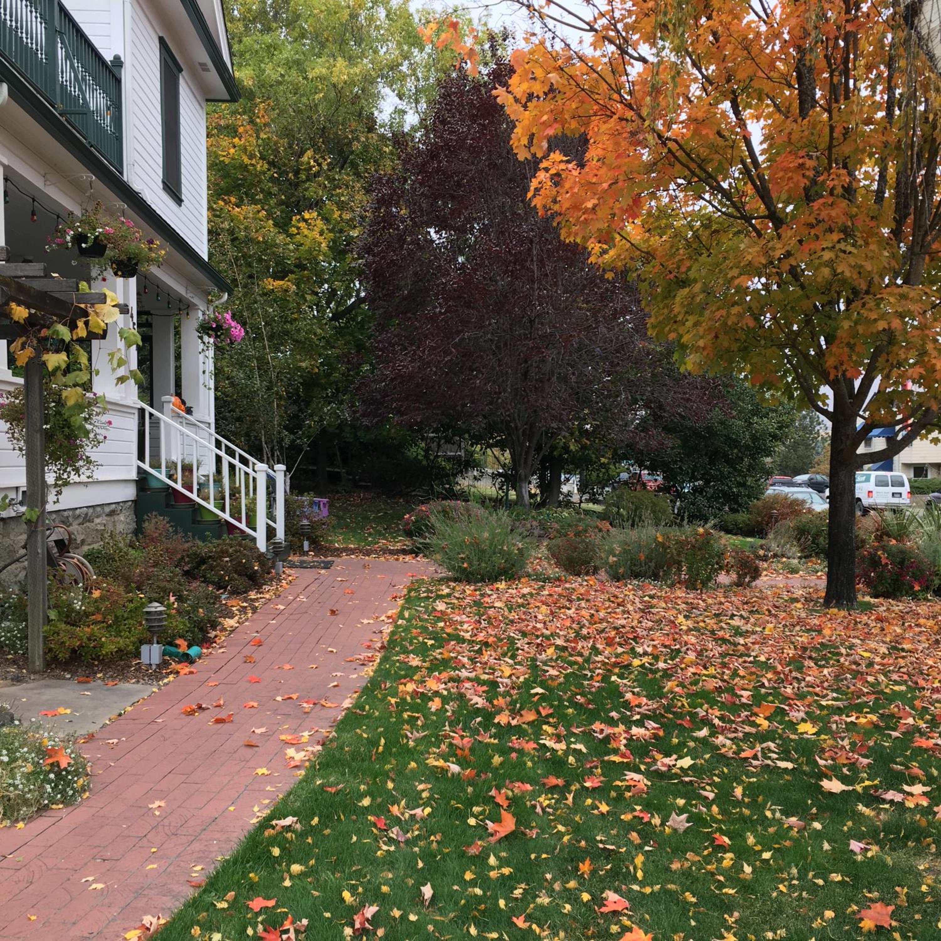Photo 21