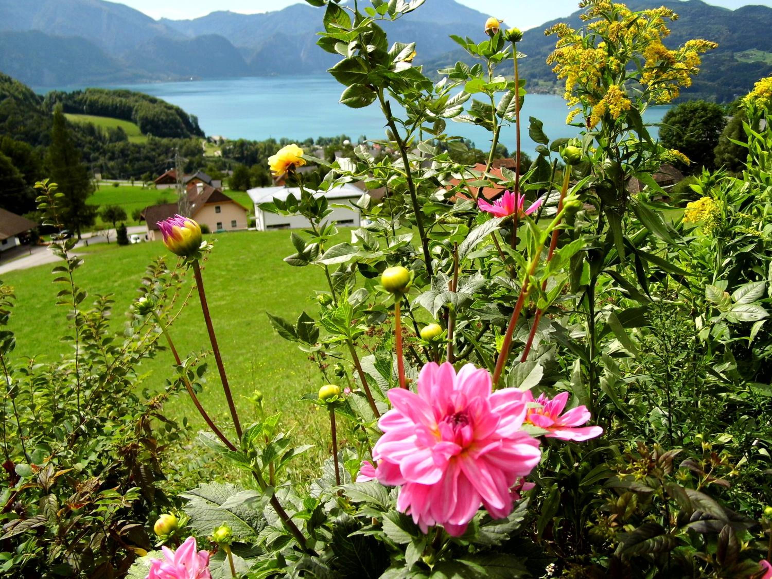 Biohof Schwanser