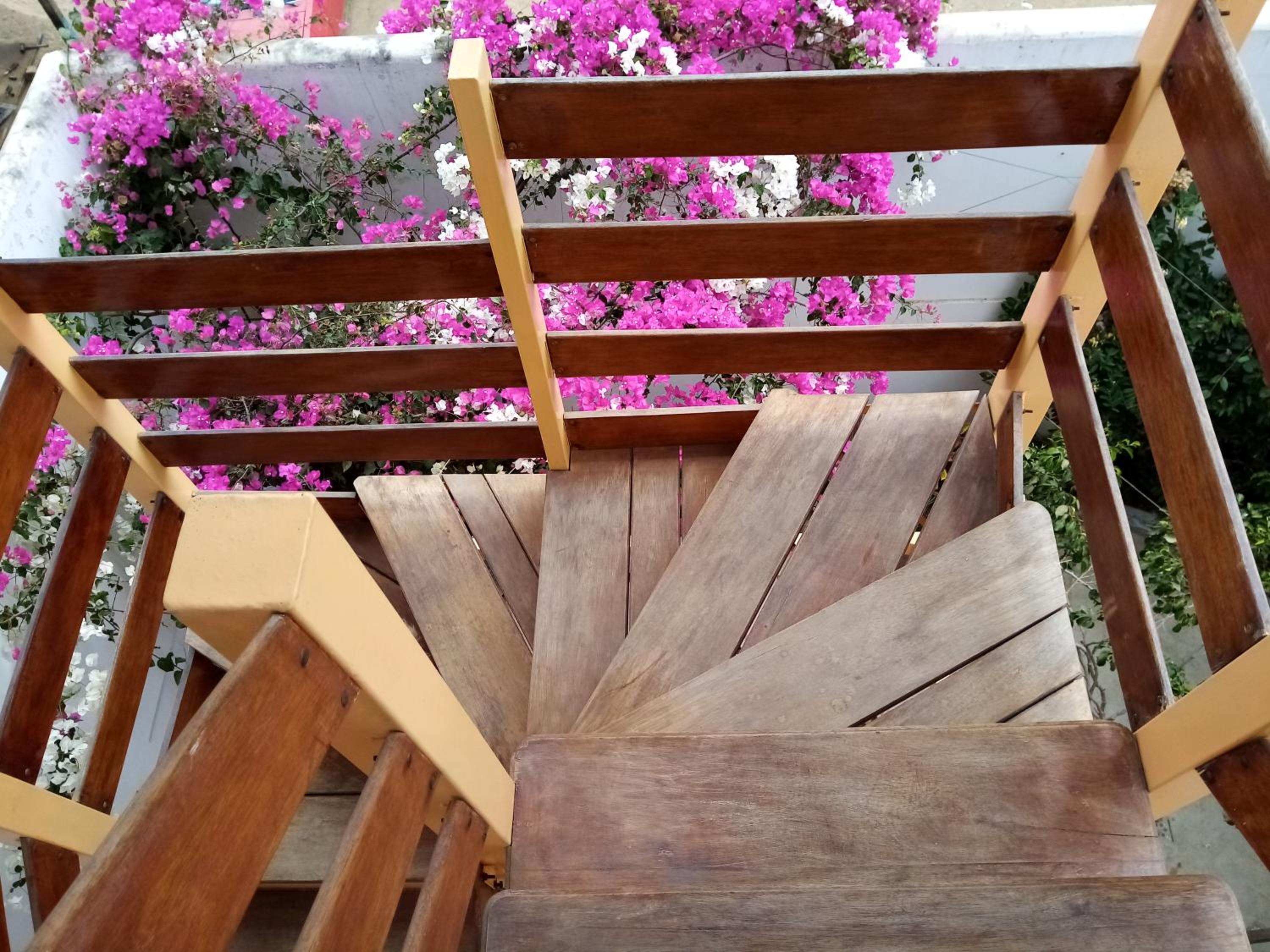 Los Pinos de Zorritos Condominio, photo 30