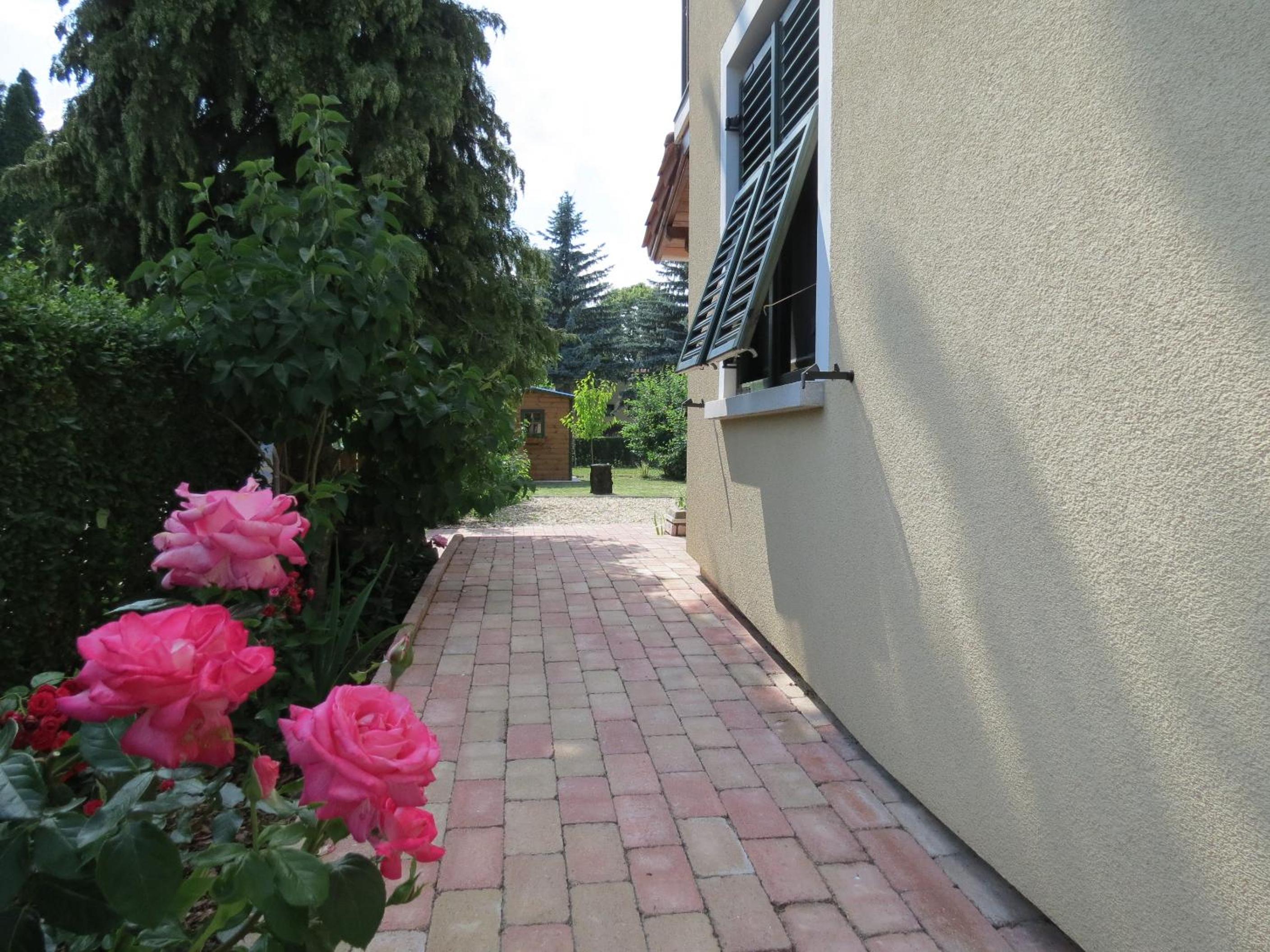 Photo 33