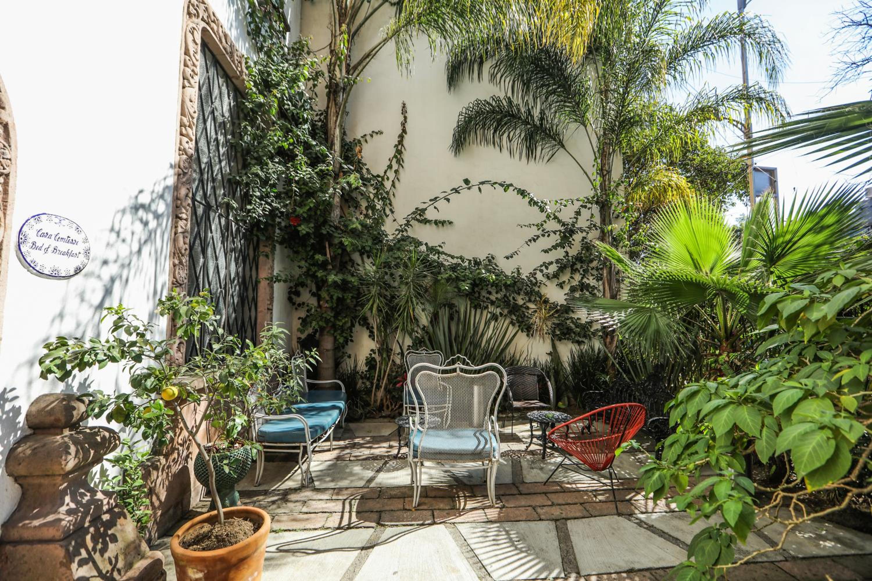 Casa Comtesse courtyard_garden photo