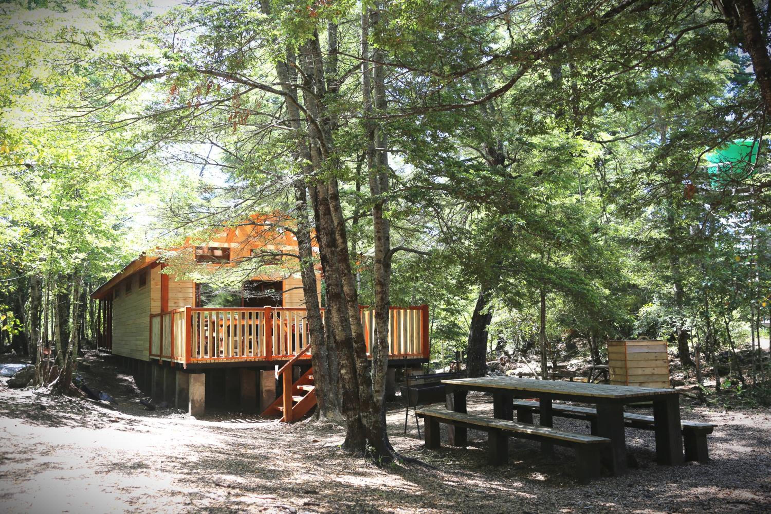 Llaima Camp view 2