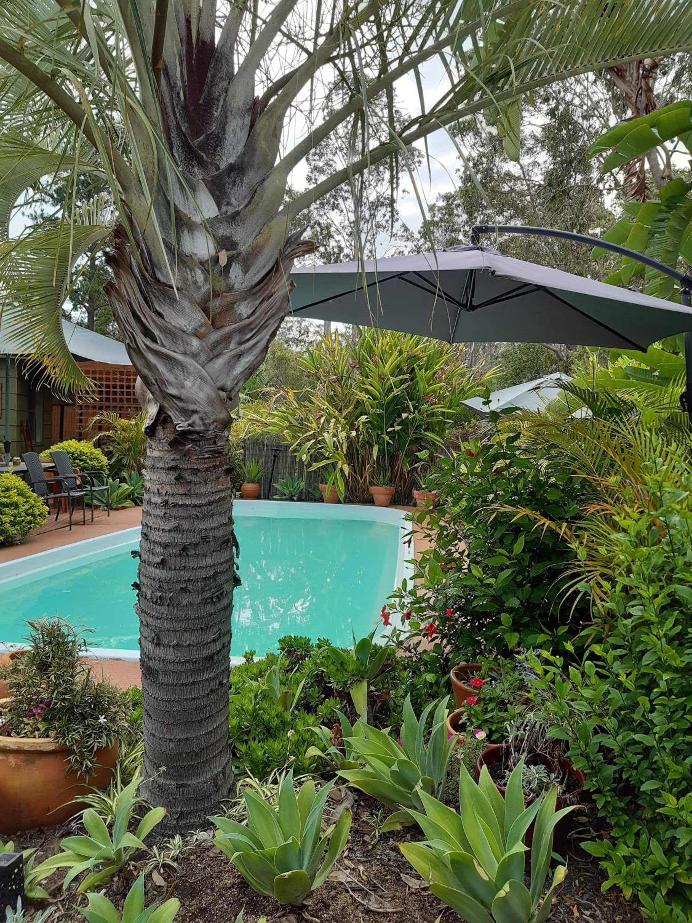 Charming country house close to Grafton