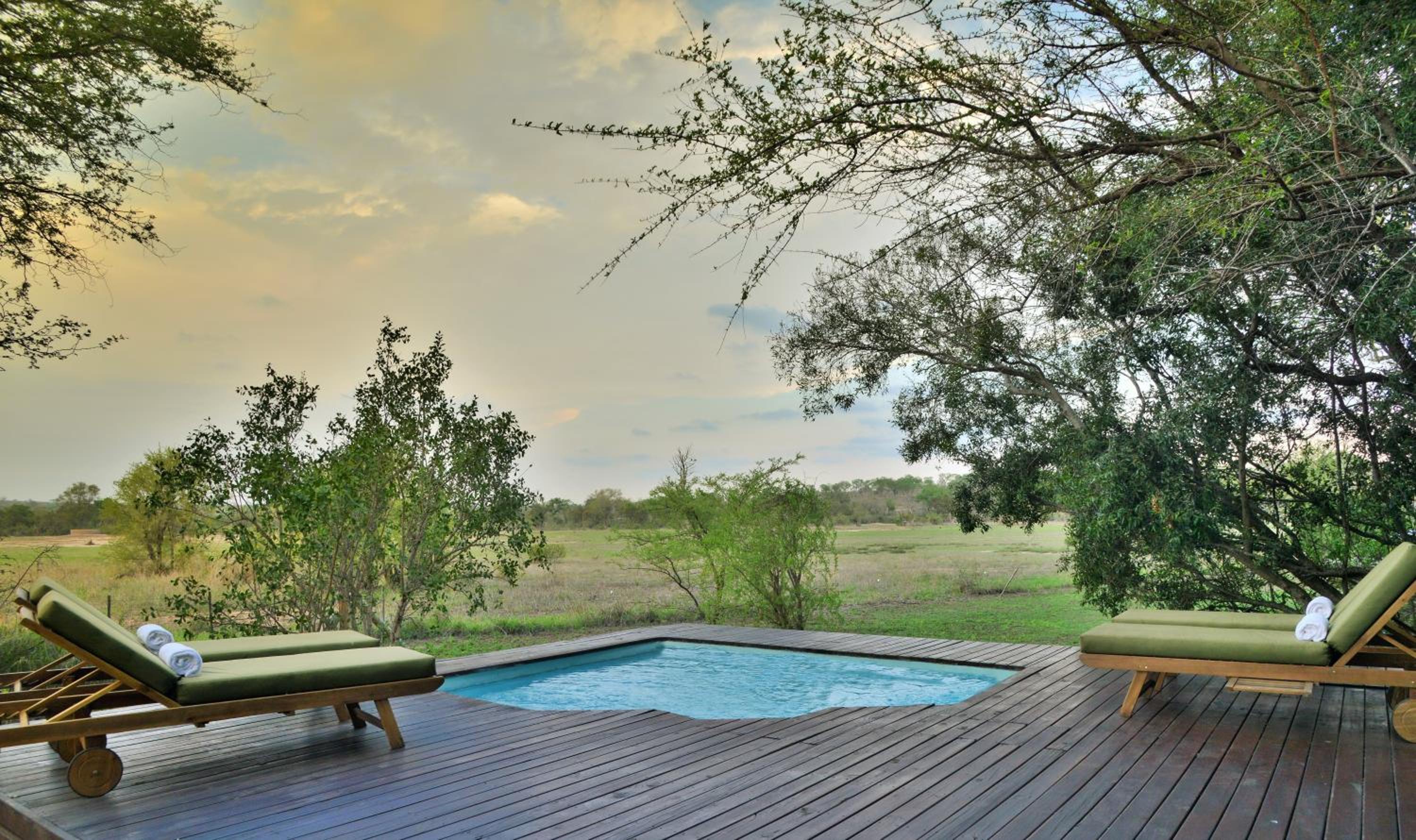 Rhino Walking Safaris