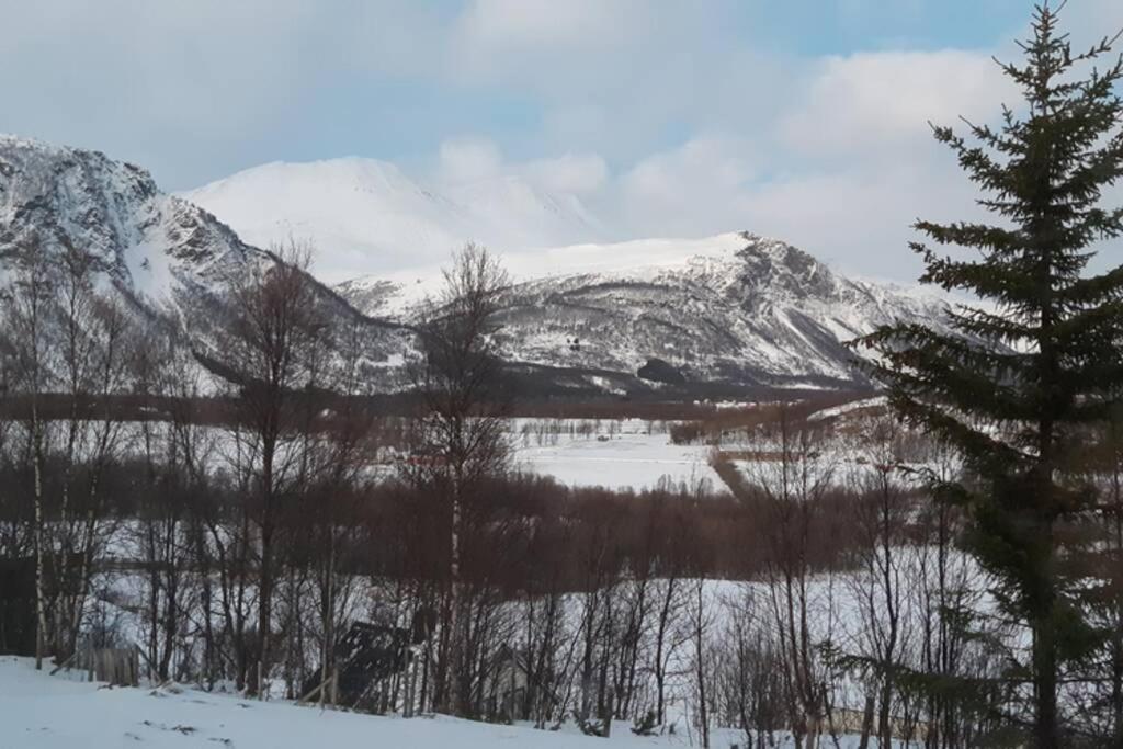 Best of Lyngen panorama apartment view 3