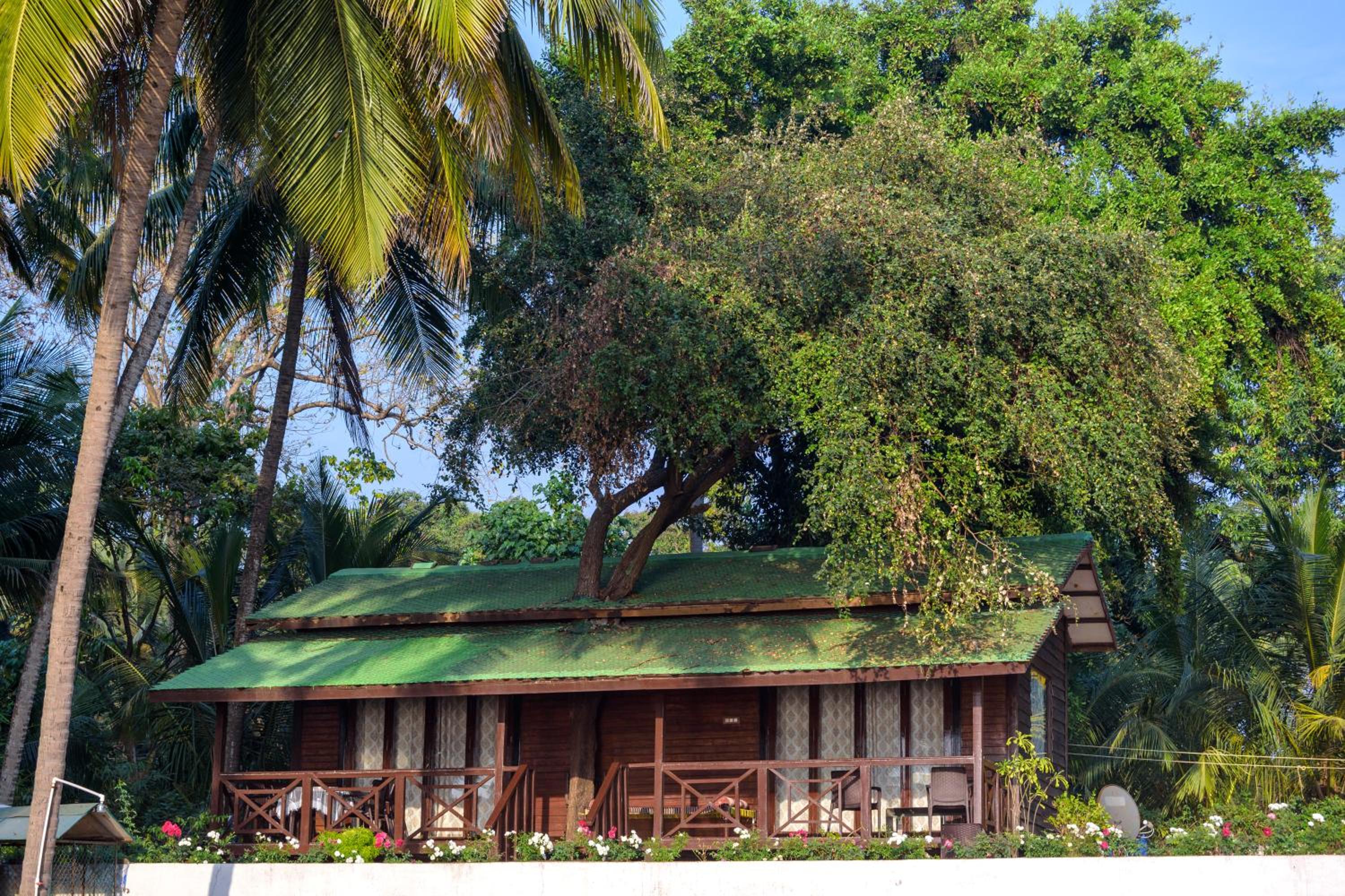 SaffronStays Little Paradise, Murud view 4