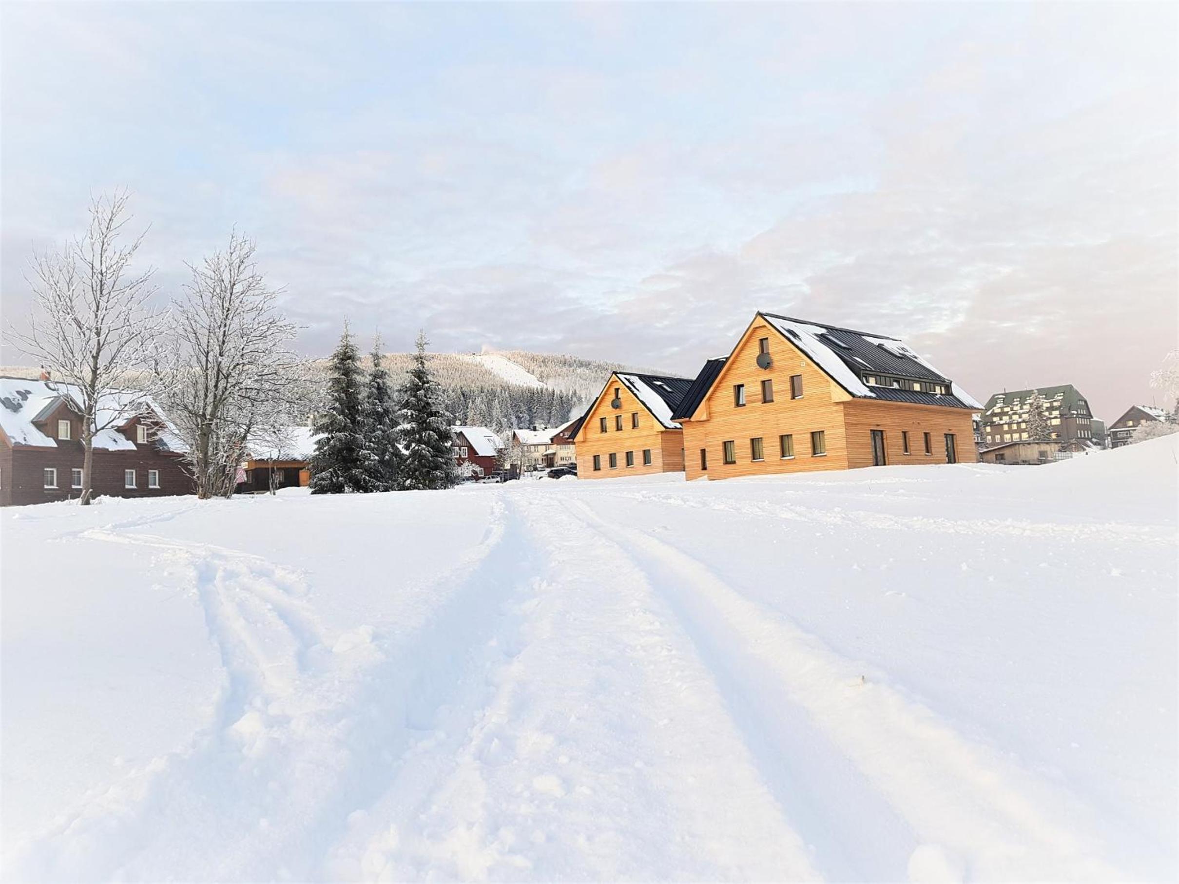 WOODHOME - Luxury Mountain Apartment Horní Malá Úpa view 4