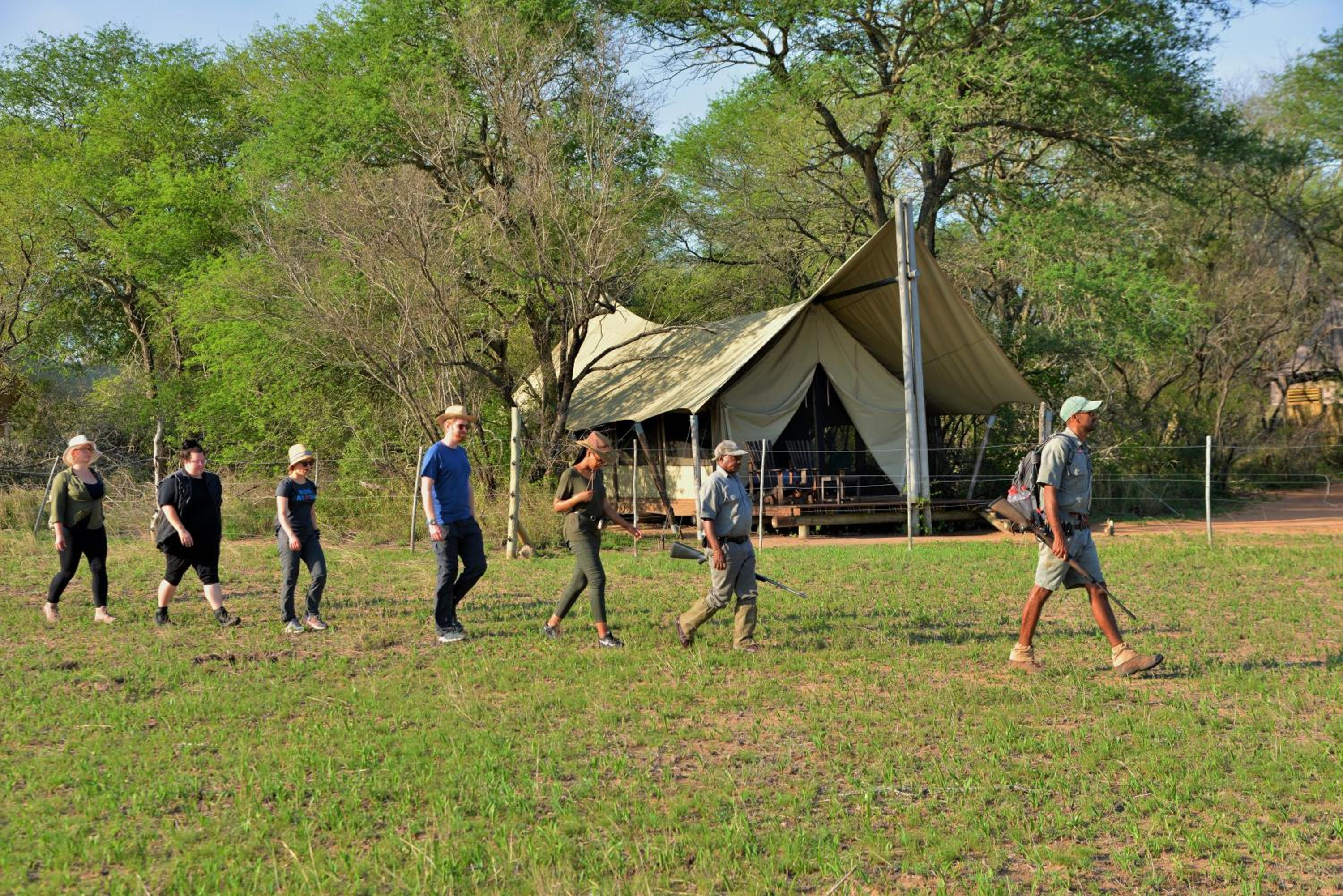 Rhino Walking Safaris