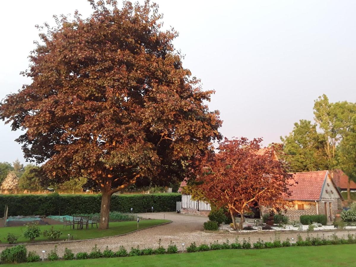 Photo 17