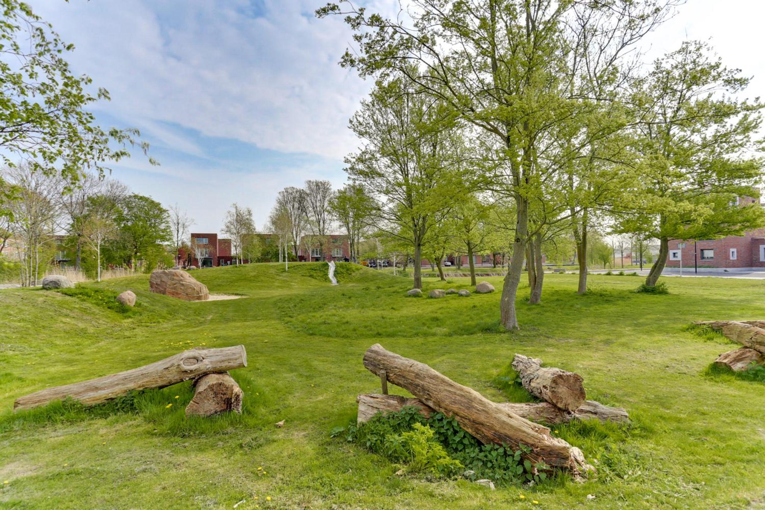 B&B Modern Times photo 3