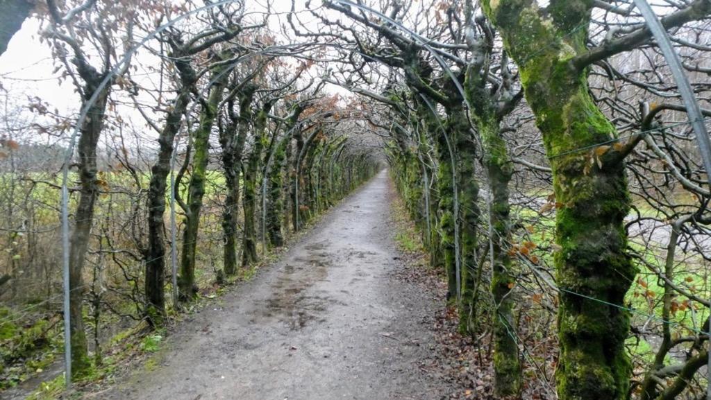 La Milardière Chambres d'Hôtes B&B