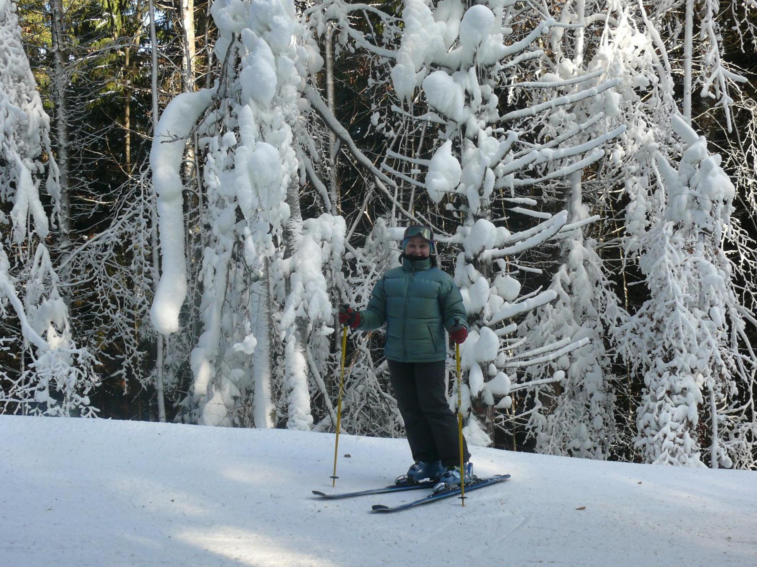 Photo 40