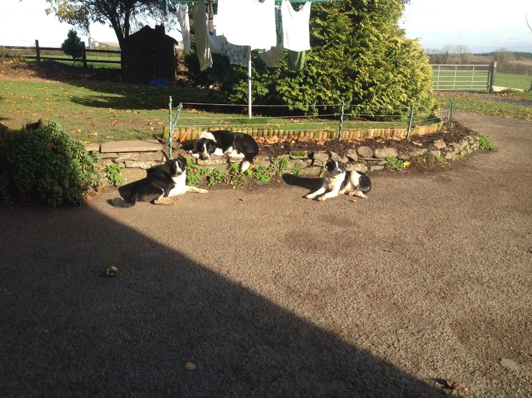 Bradridge Farm