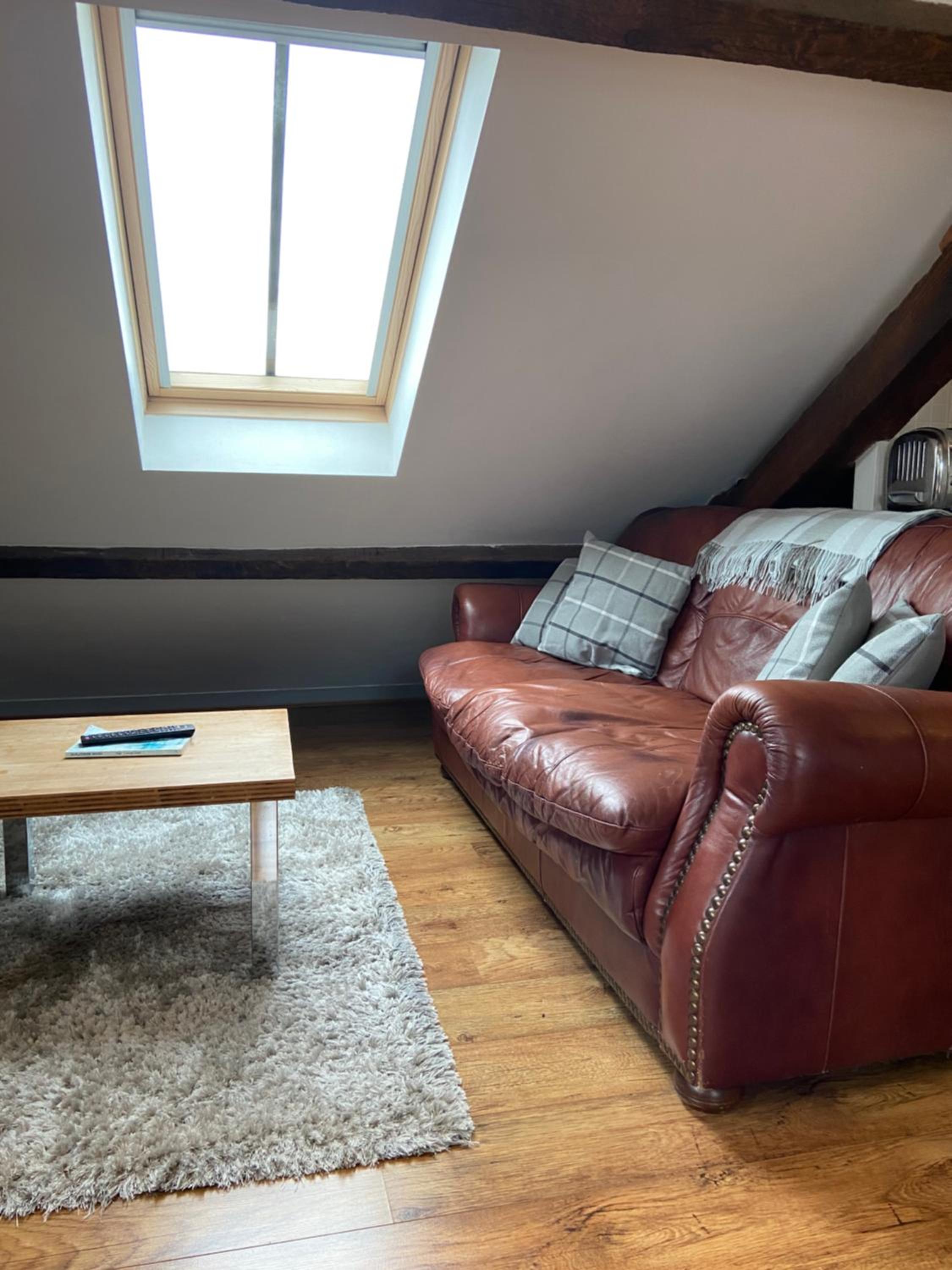 Victorian Penthouse Apartment view 4