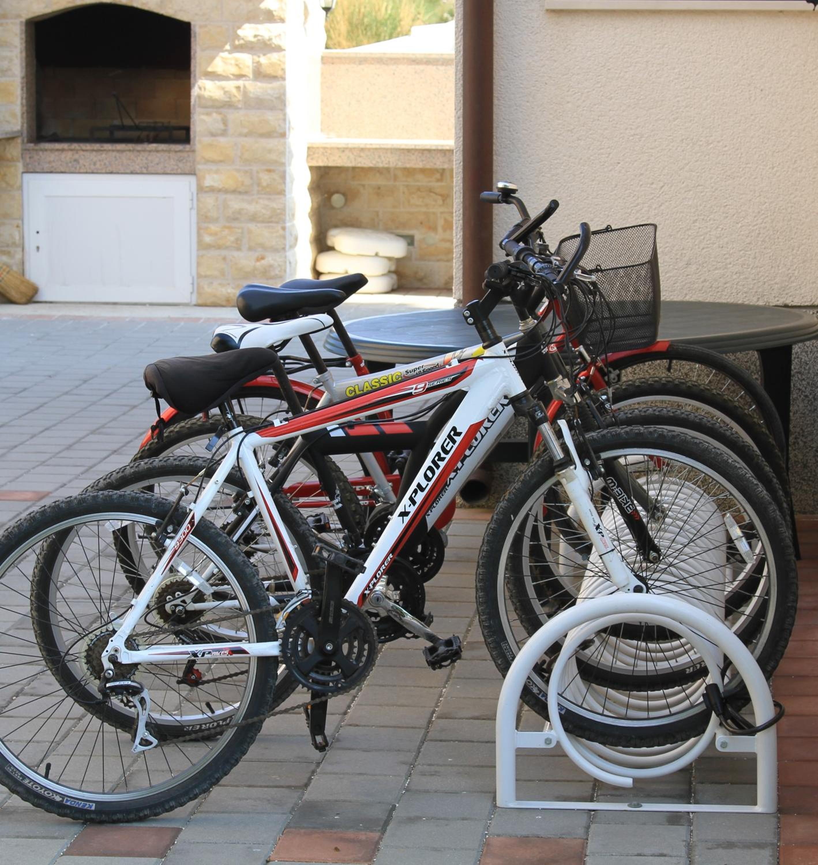 Photo 8
