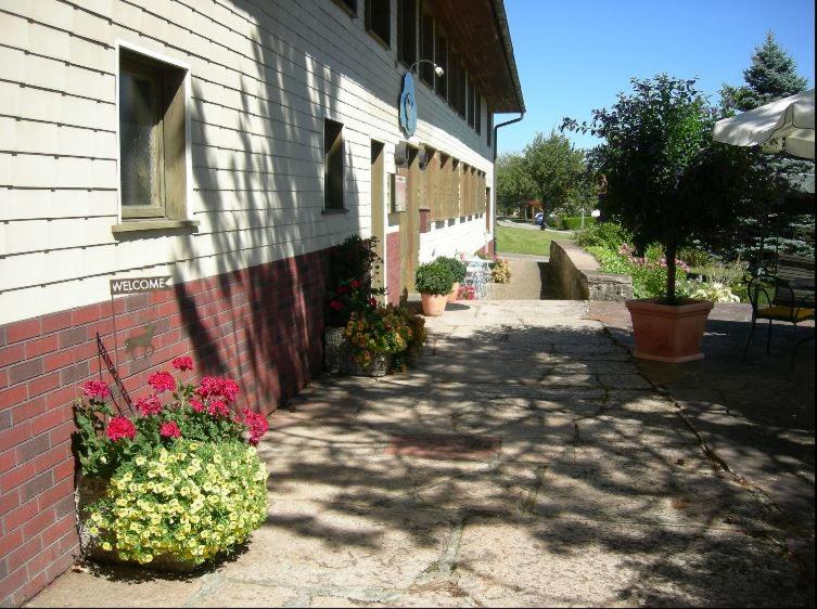 Pension Adler
