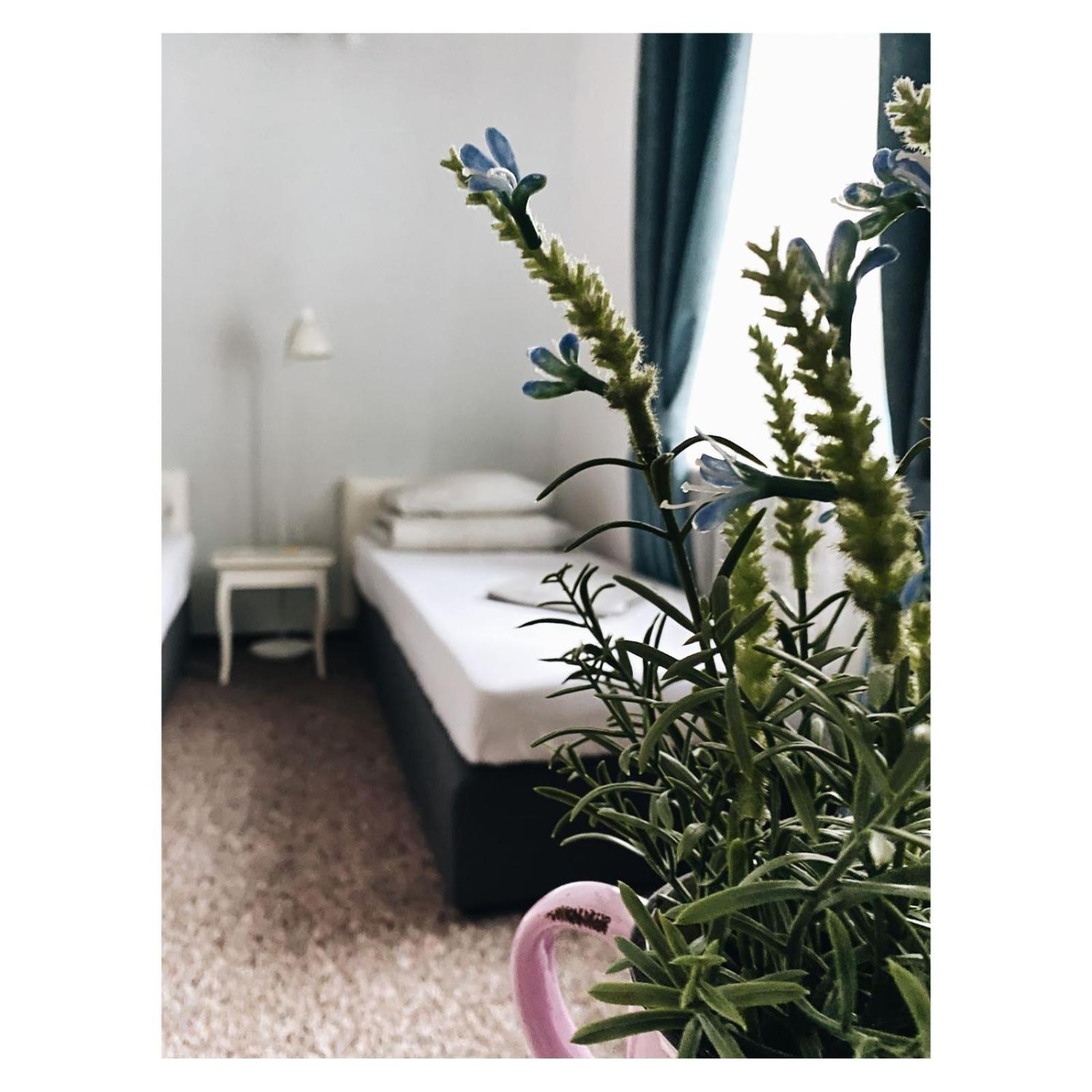 Pastel Guest Rooms view 2