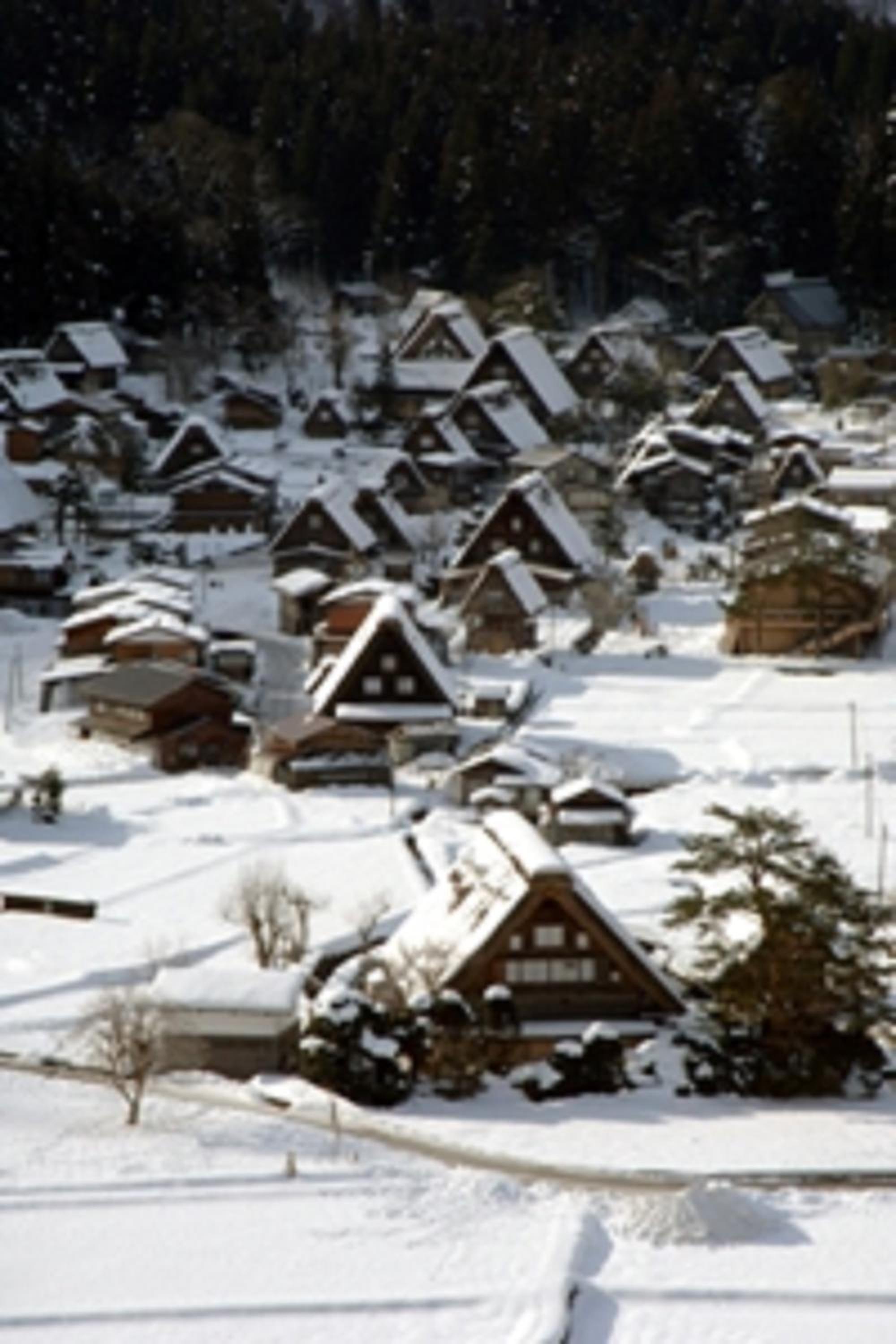 Gokayama Onsen Akaokan view 5