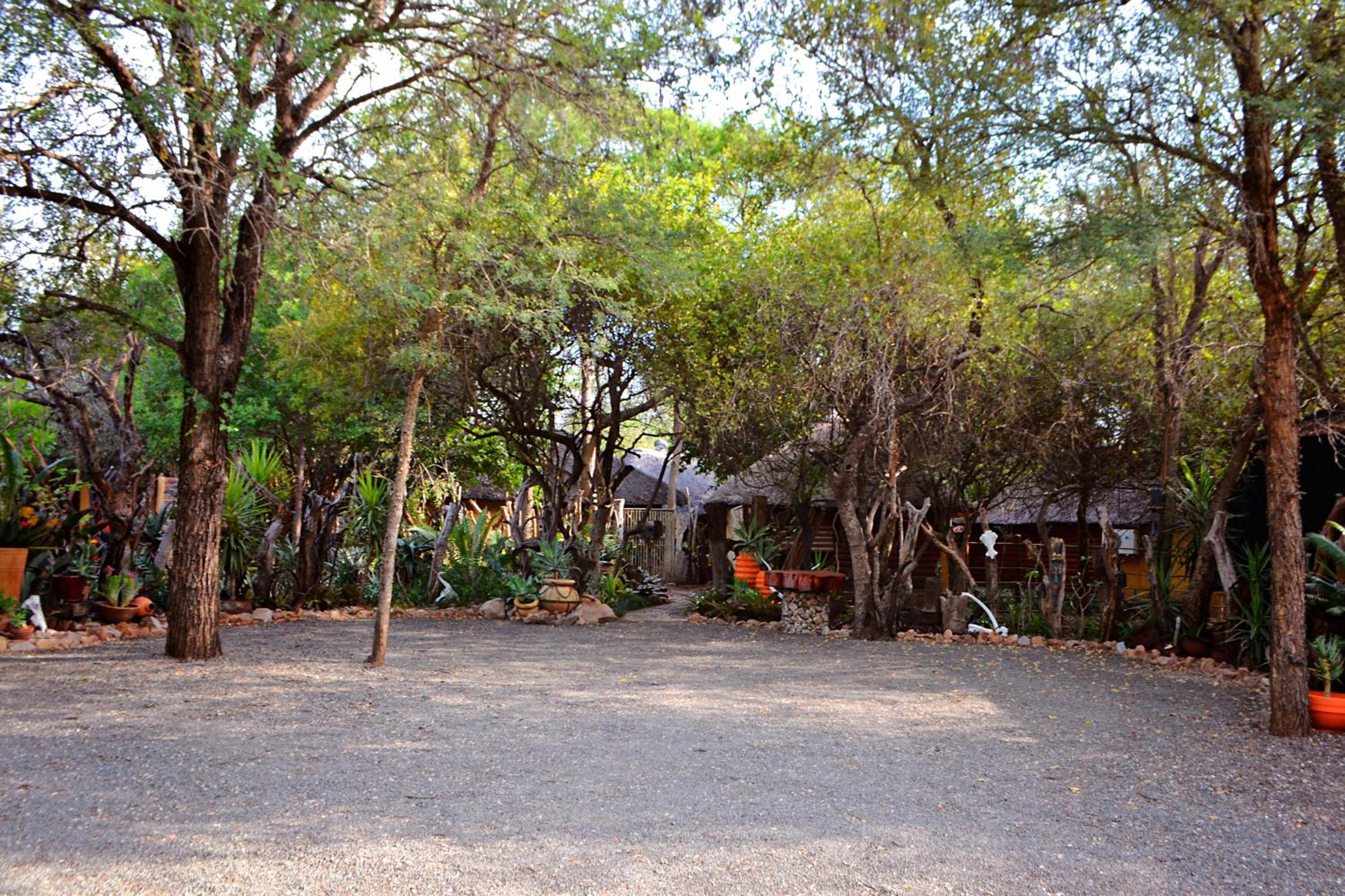 Wielewaal Bush Lodge
