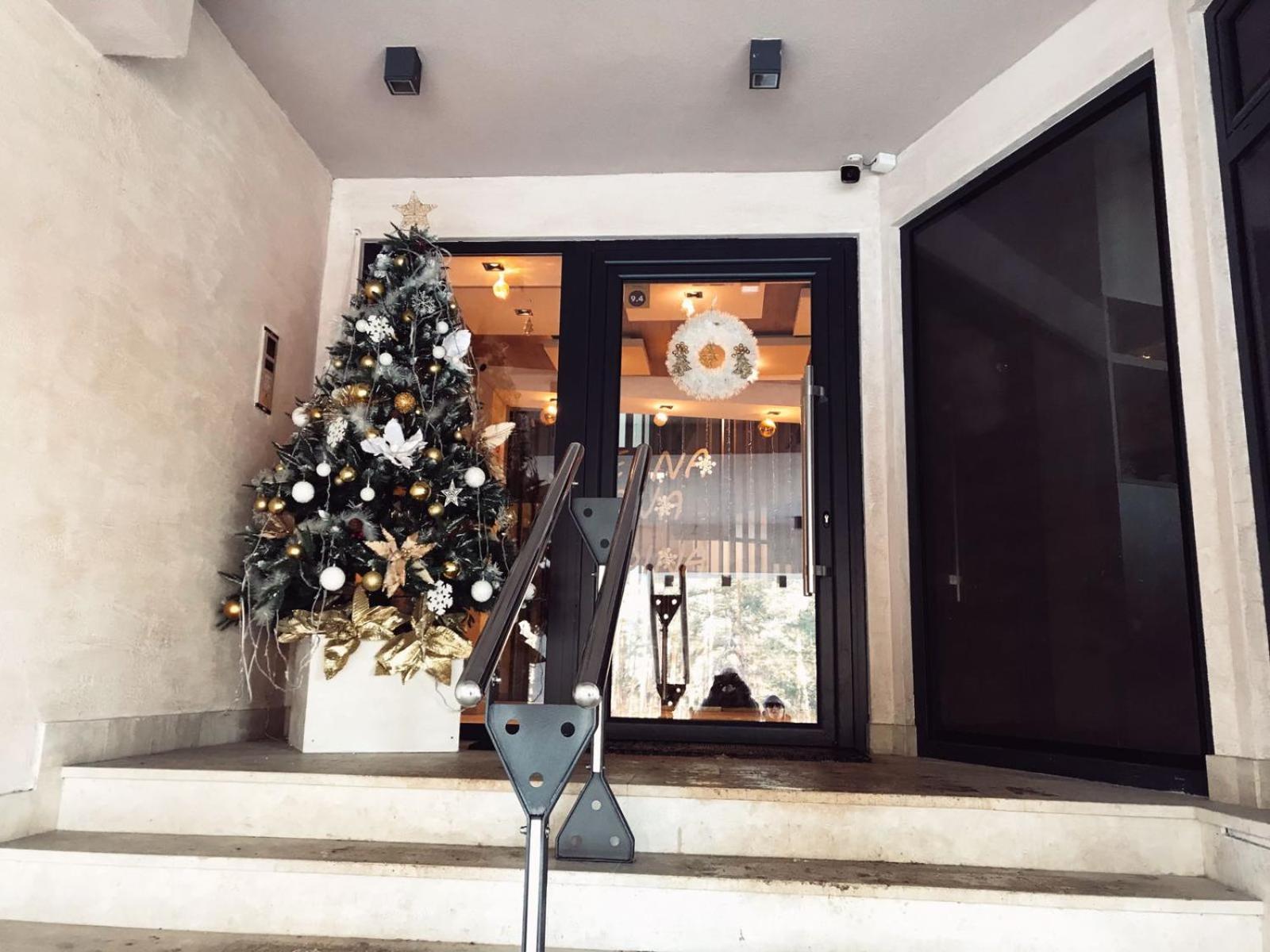Vila Pekovic Apartman P8 view 3