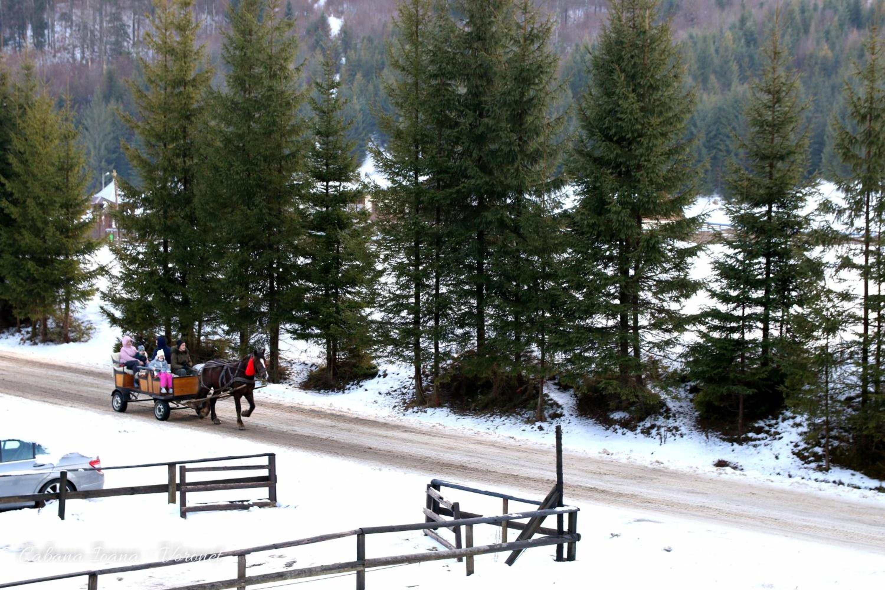 Voroneț, CABANA IOANA, Bucovina! view 5