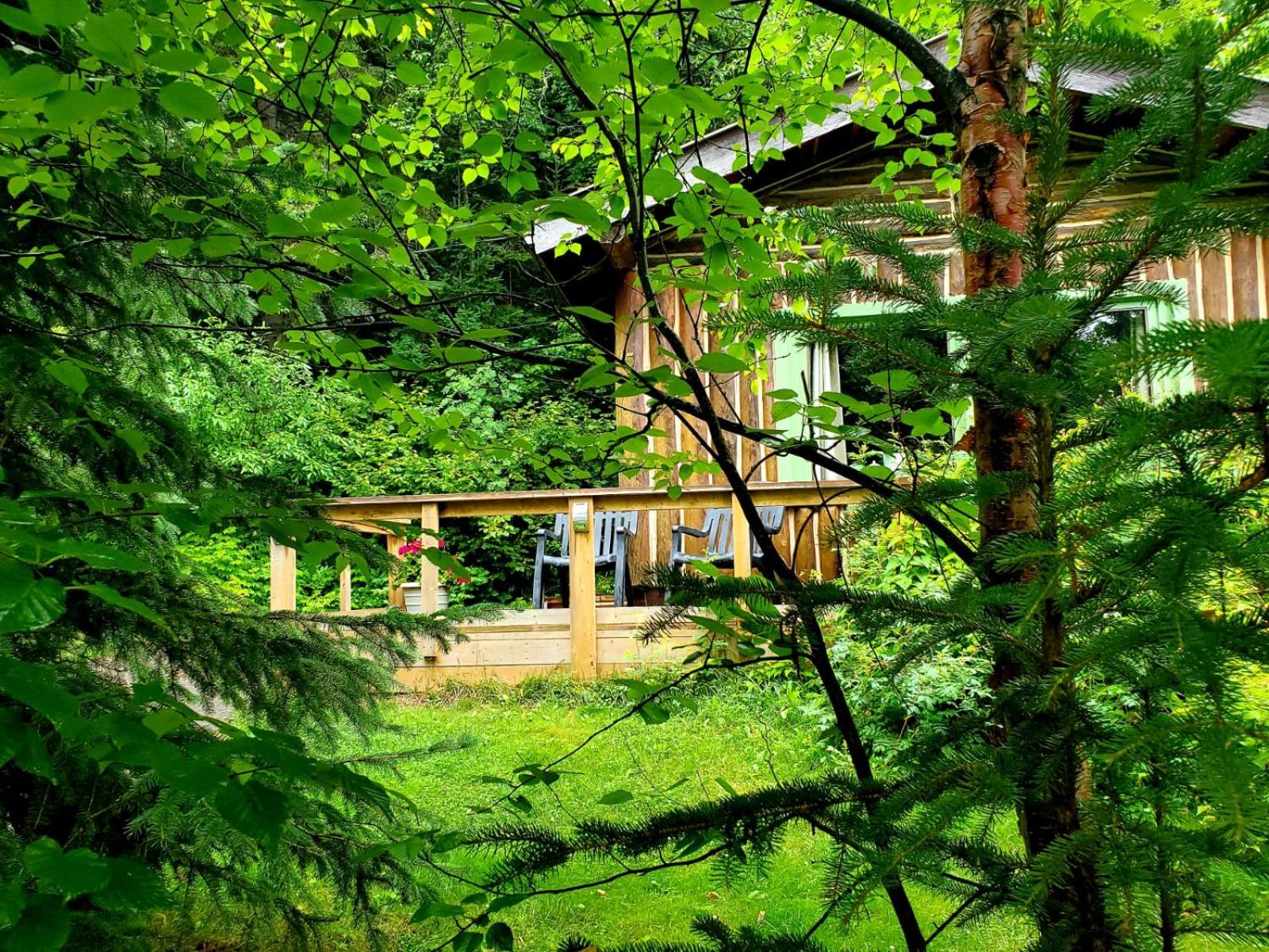 High Falls Motel & Cabins view 4