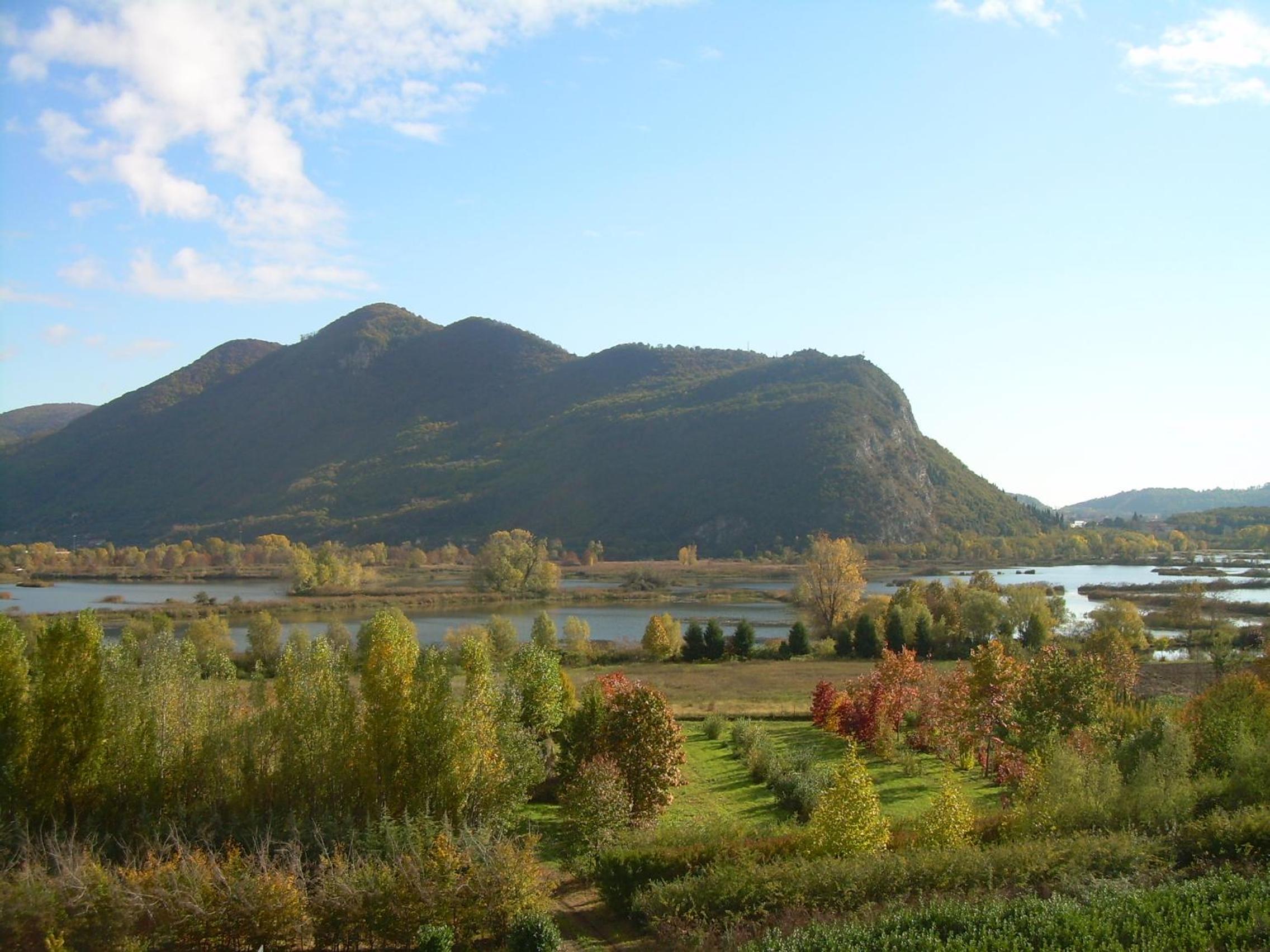 Photo 47