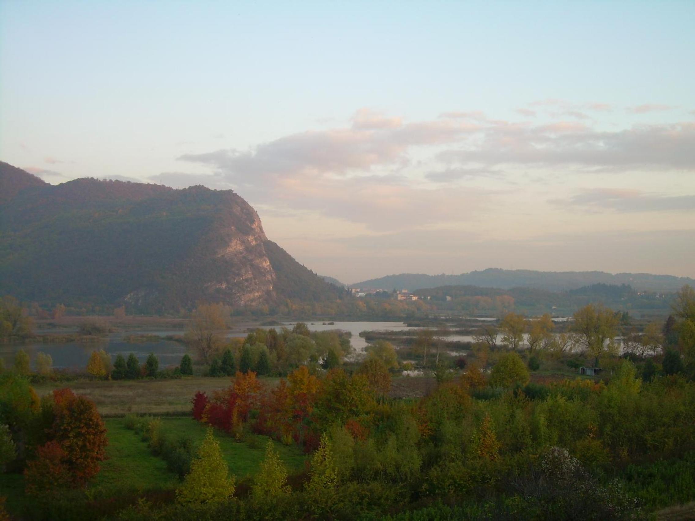 Photo 46