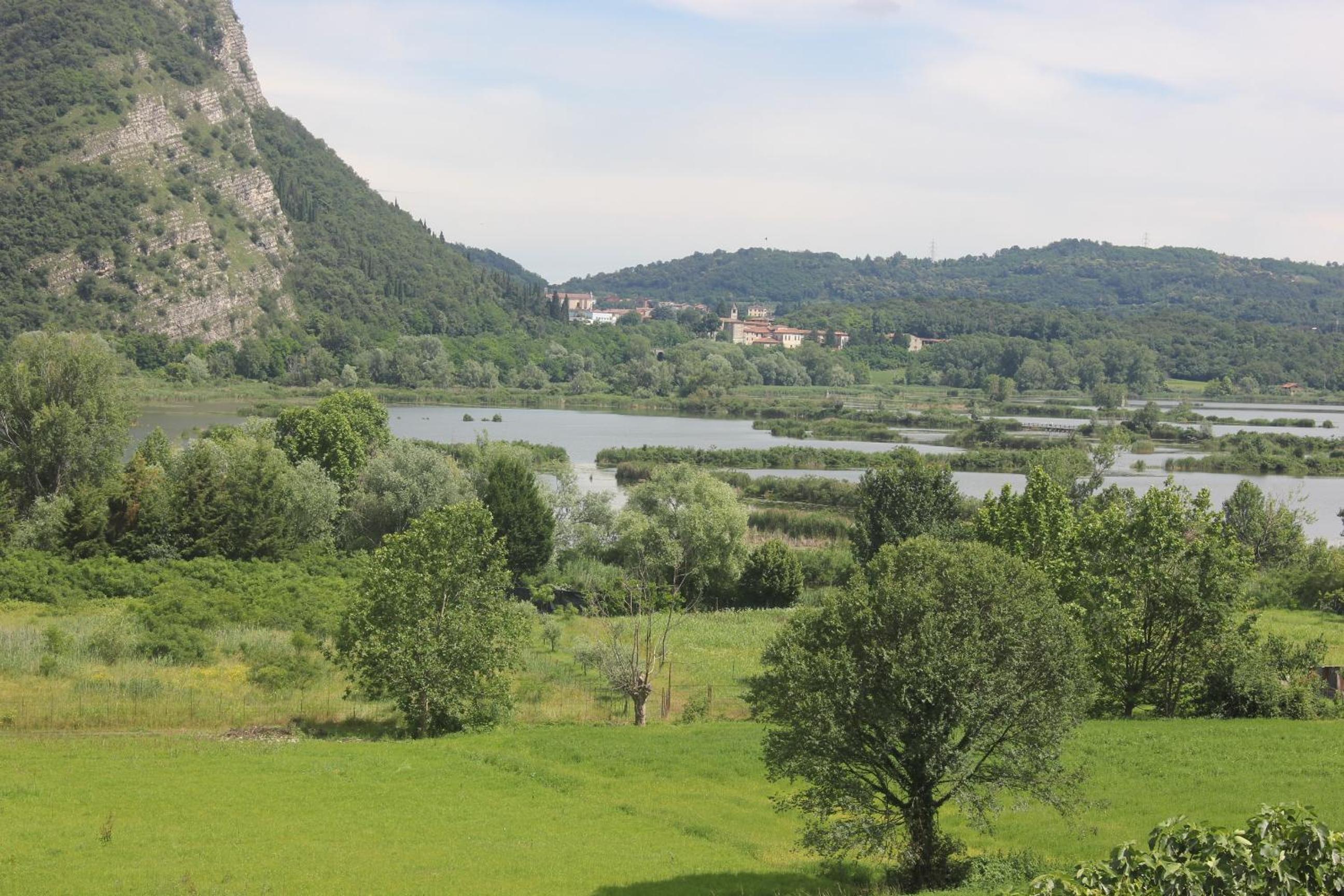 Photo 41