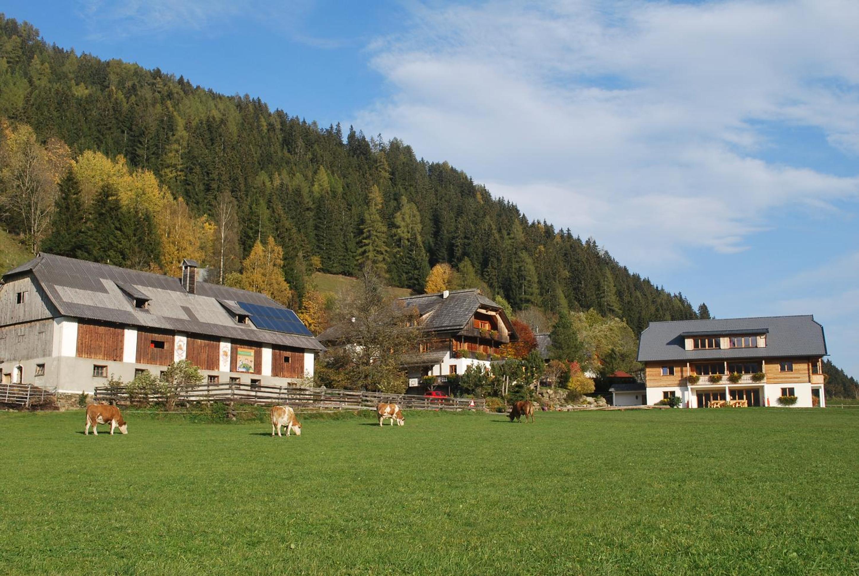 Biohof Seidl