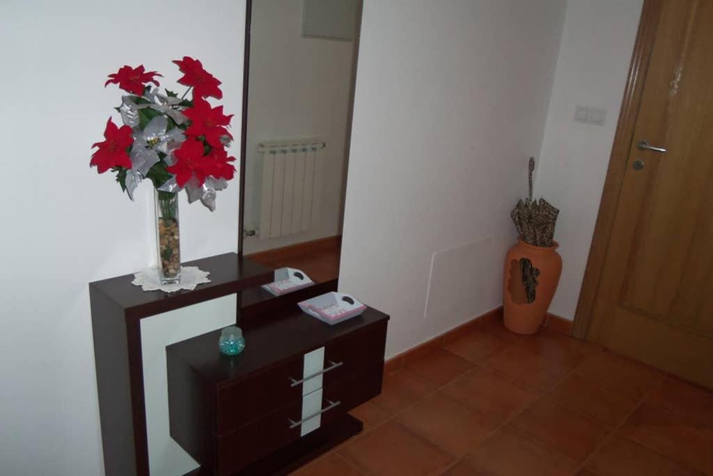 La Casa de Lines view 3