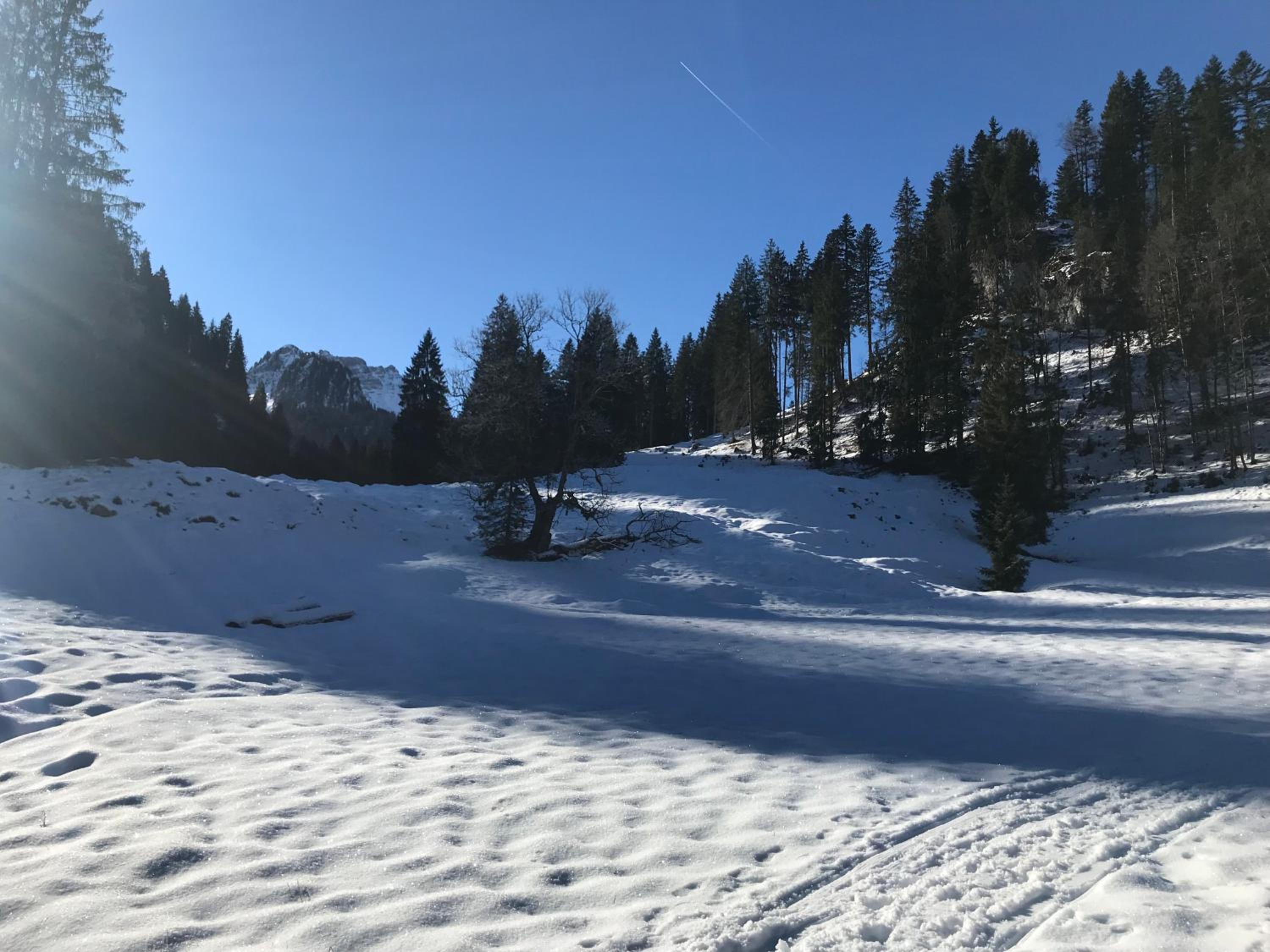 Krähenberg am Rande der Wildnis