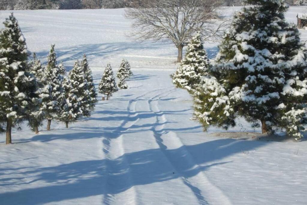 Rural life on a real Christmas tree farm! Hallmark experience!