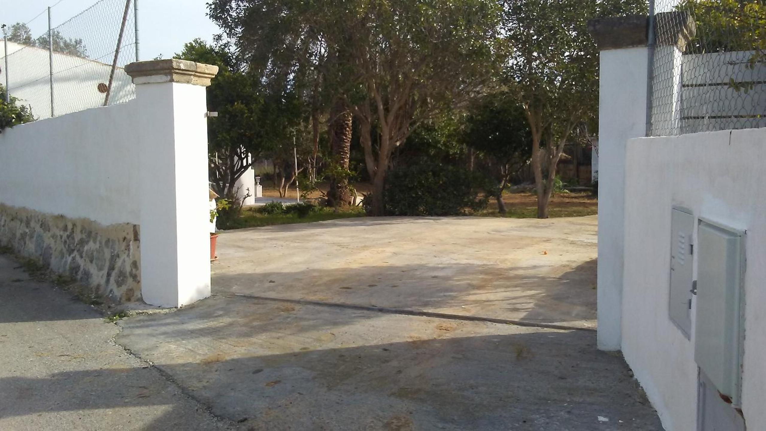Photo 7