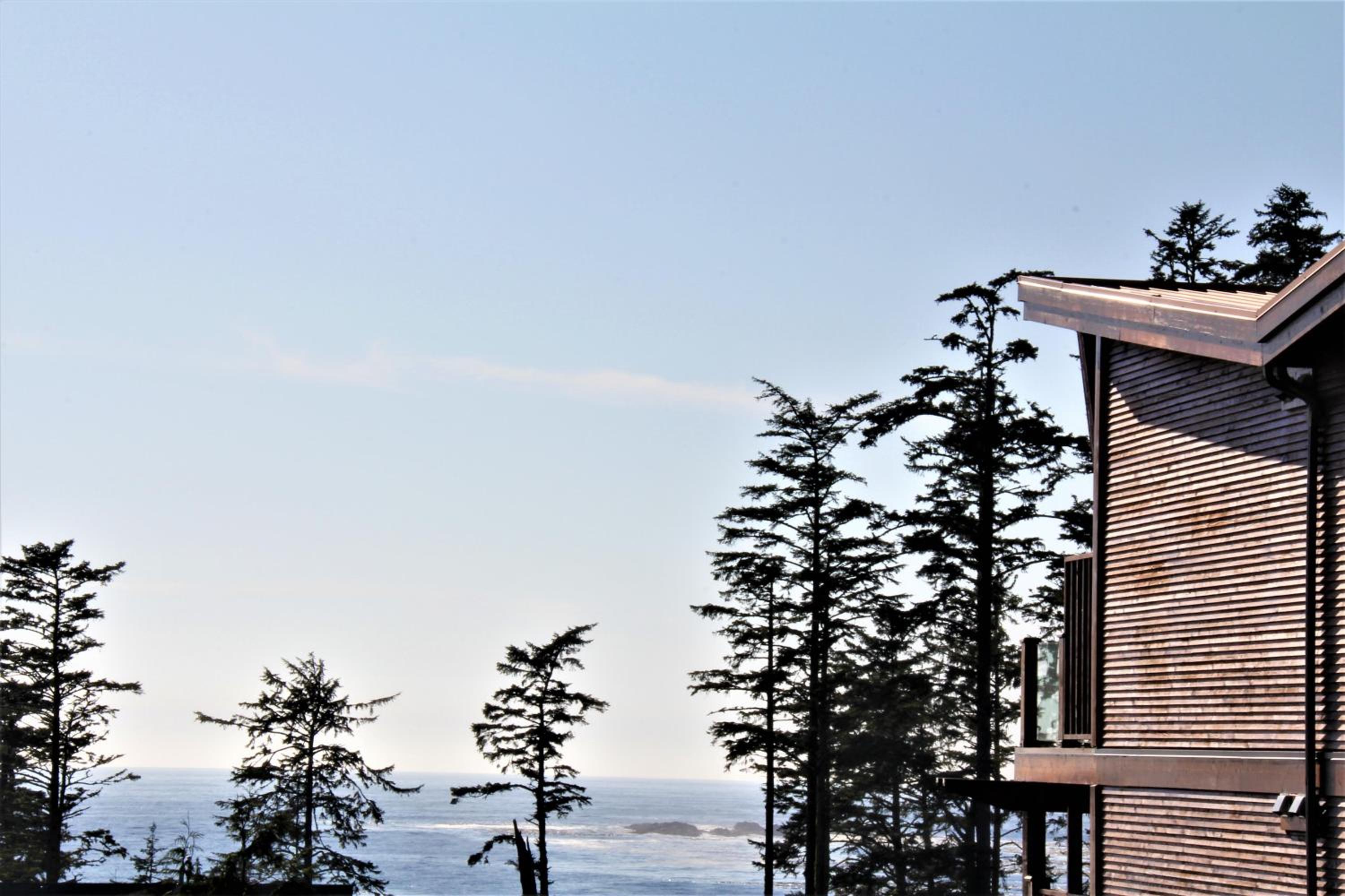 Oceanview Condo - Pacific Rim Retreat