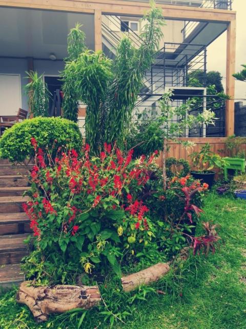 Photo 32