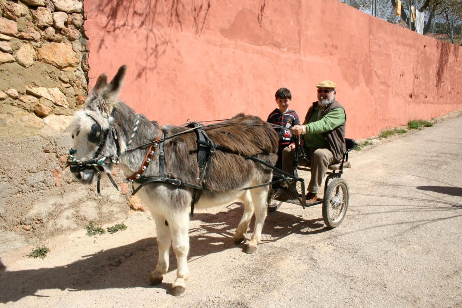 Photo 40