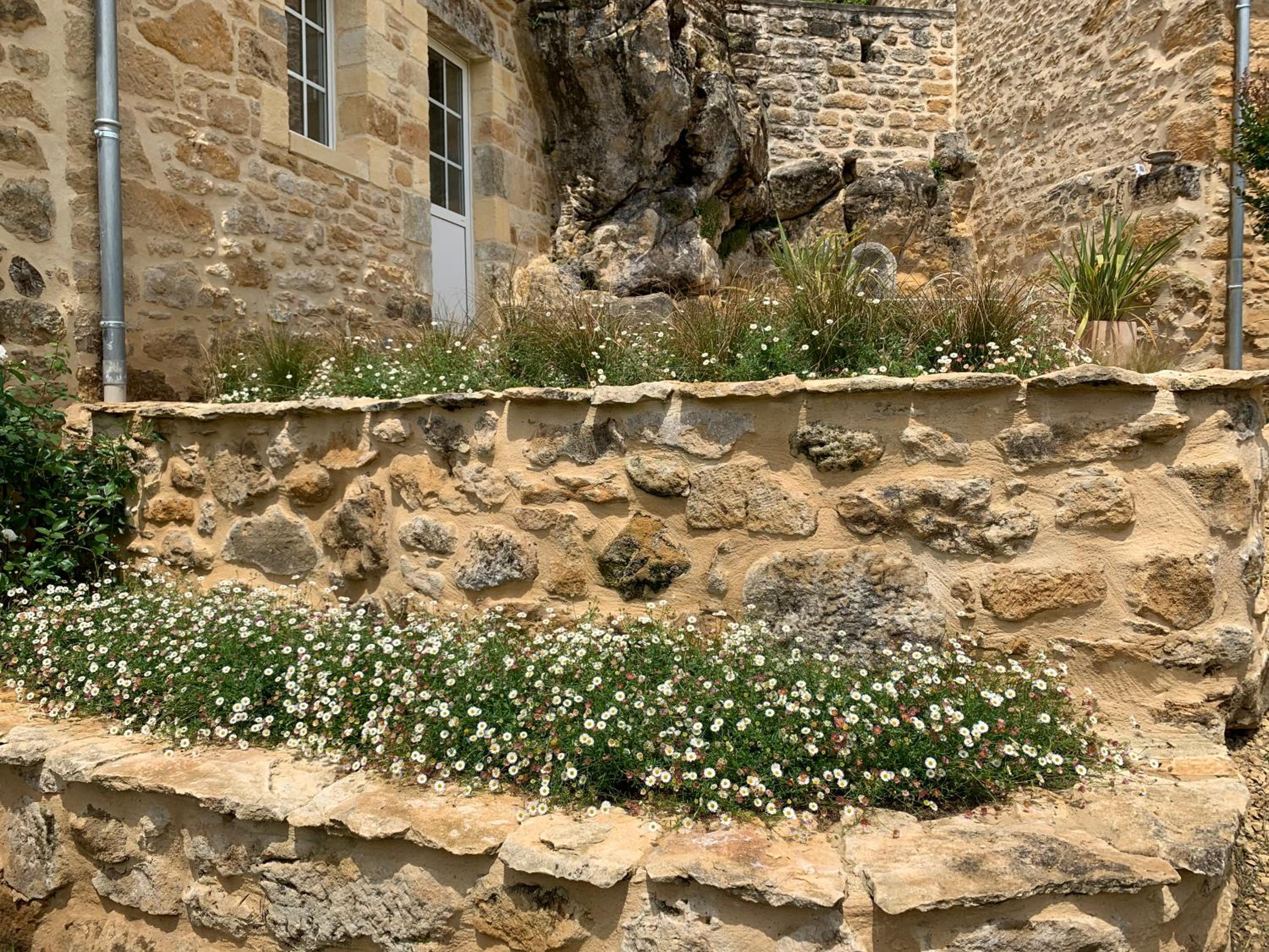 Gîte chez le Gaulois view 5