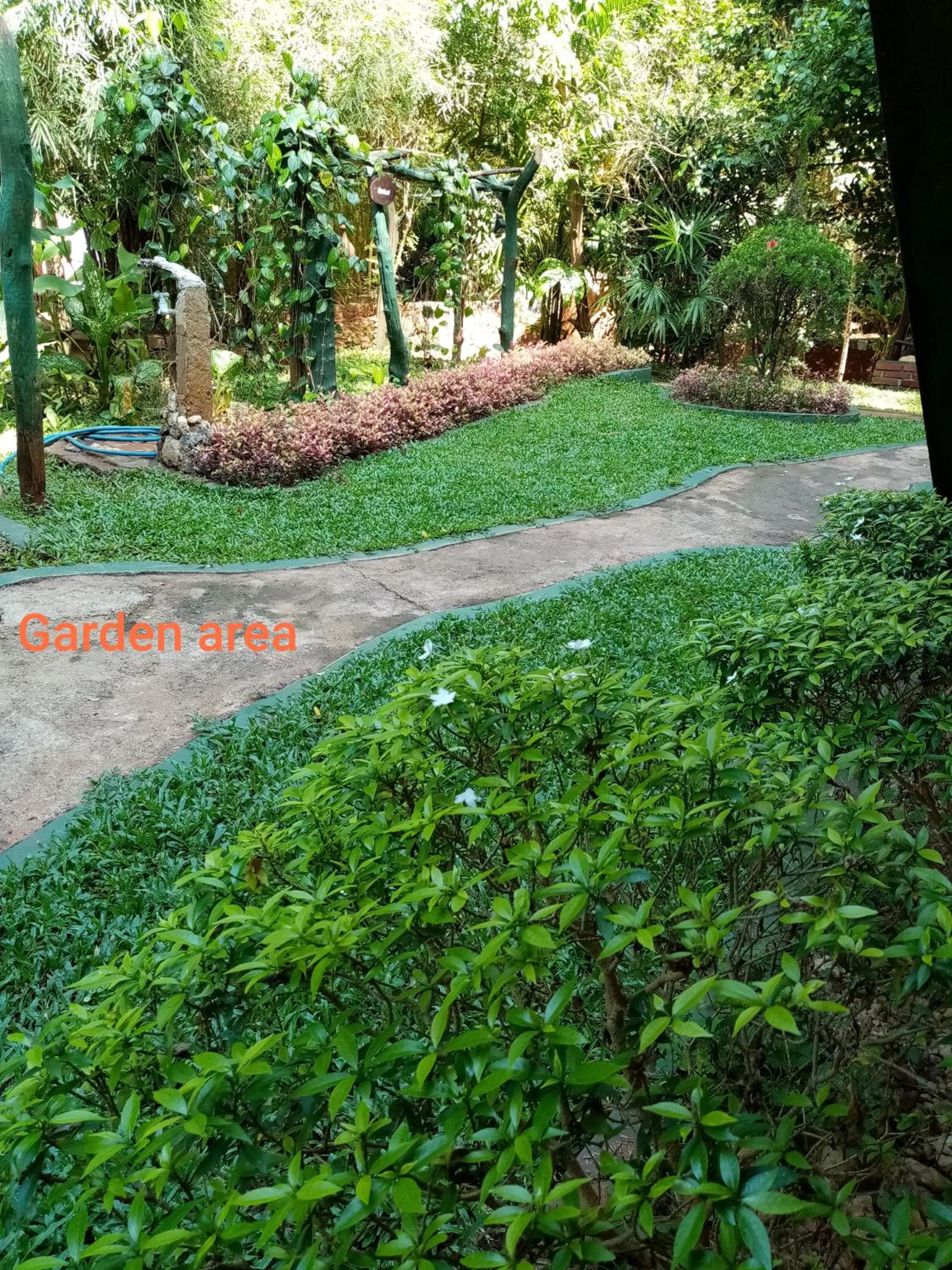 Photo 25