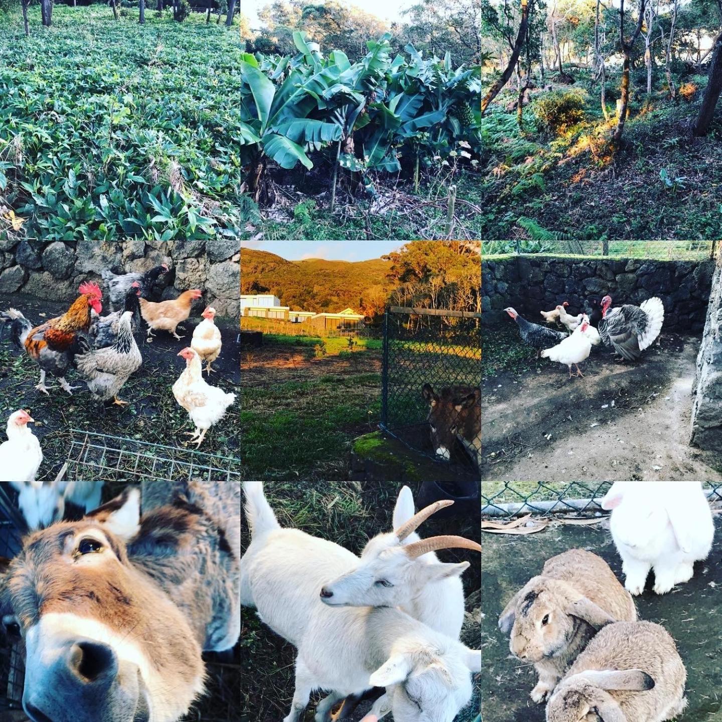 Make it Happen Farm