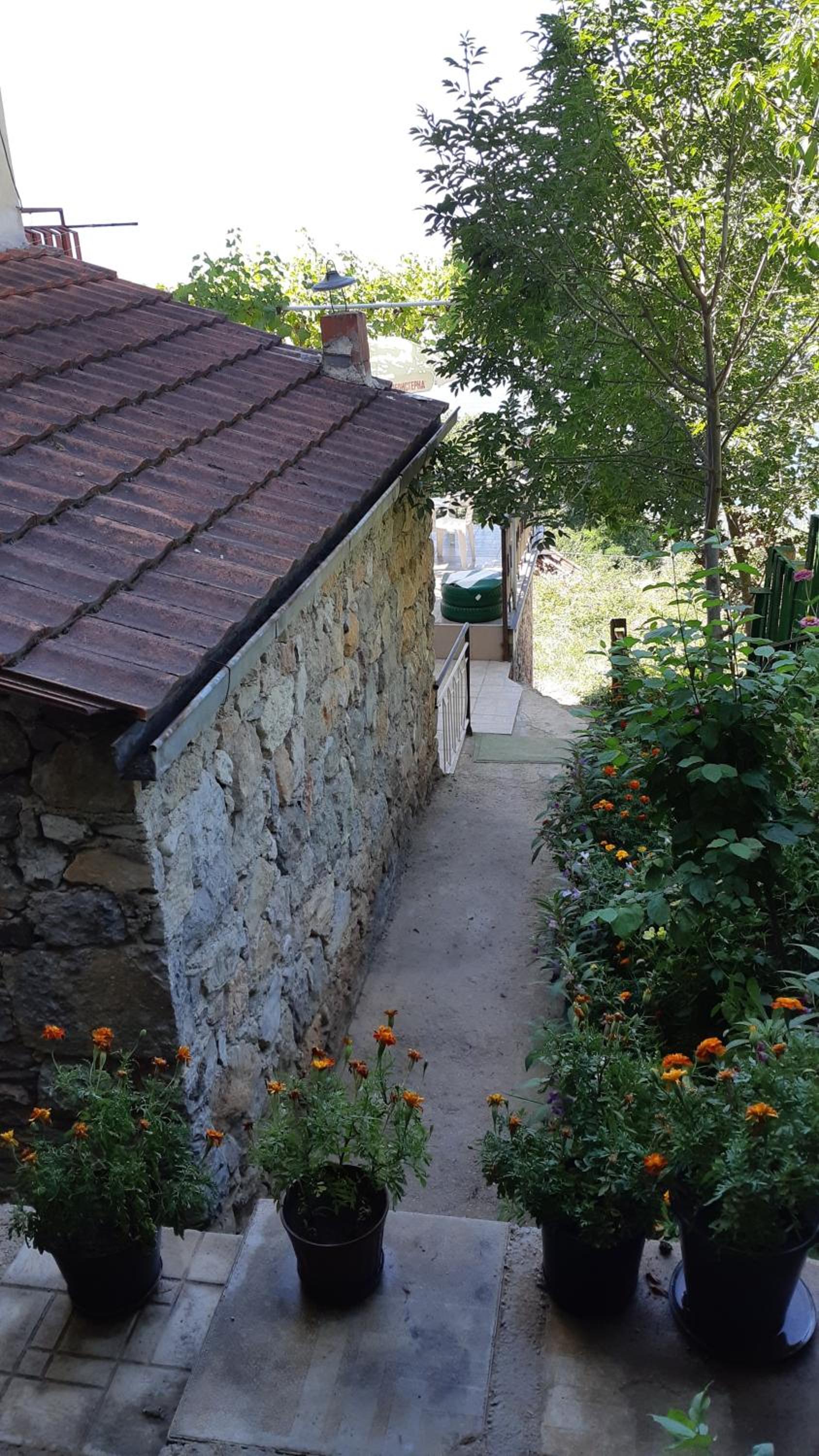 Photo 42